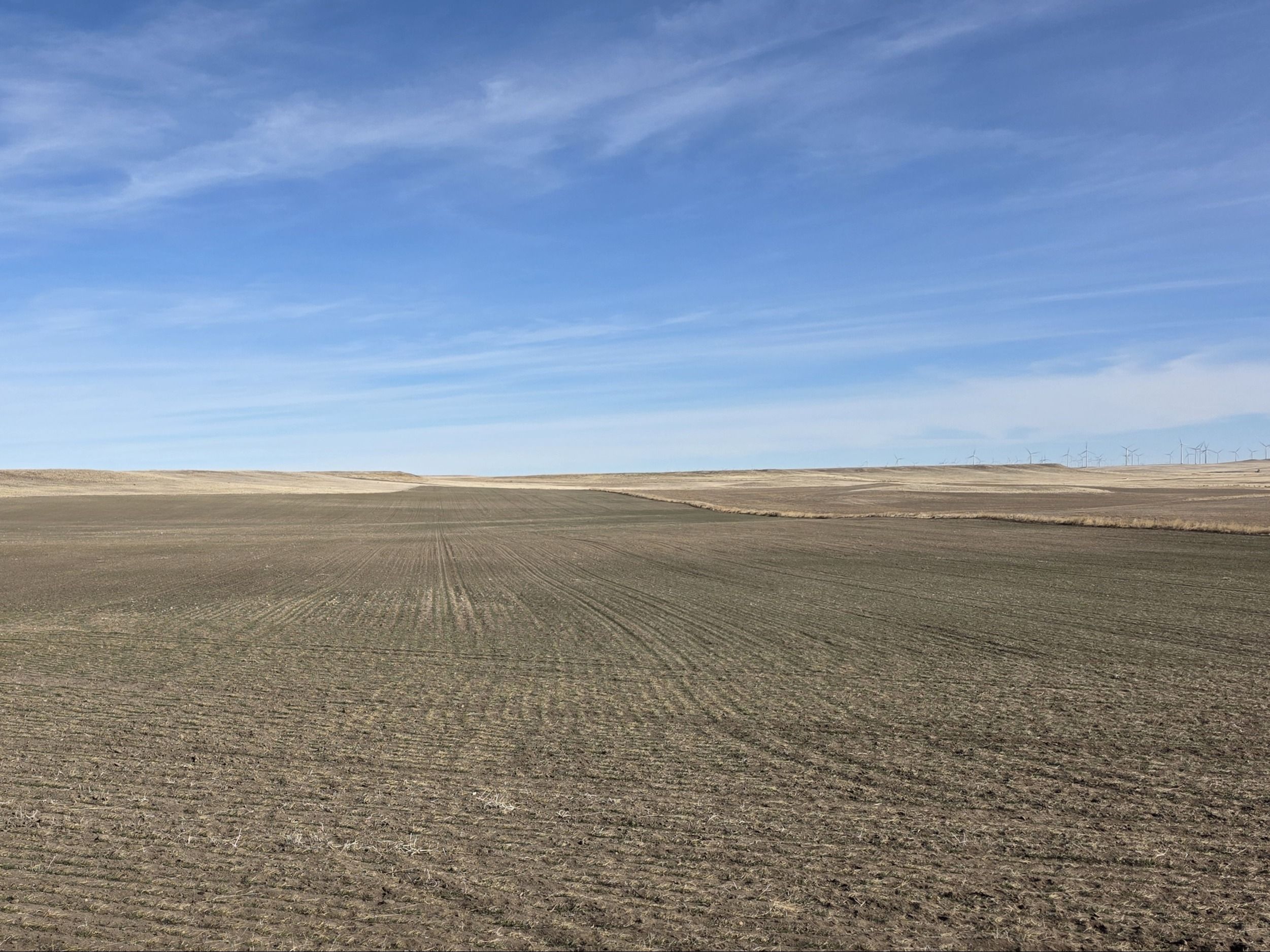 Listing Photo: 20260204_134536