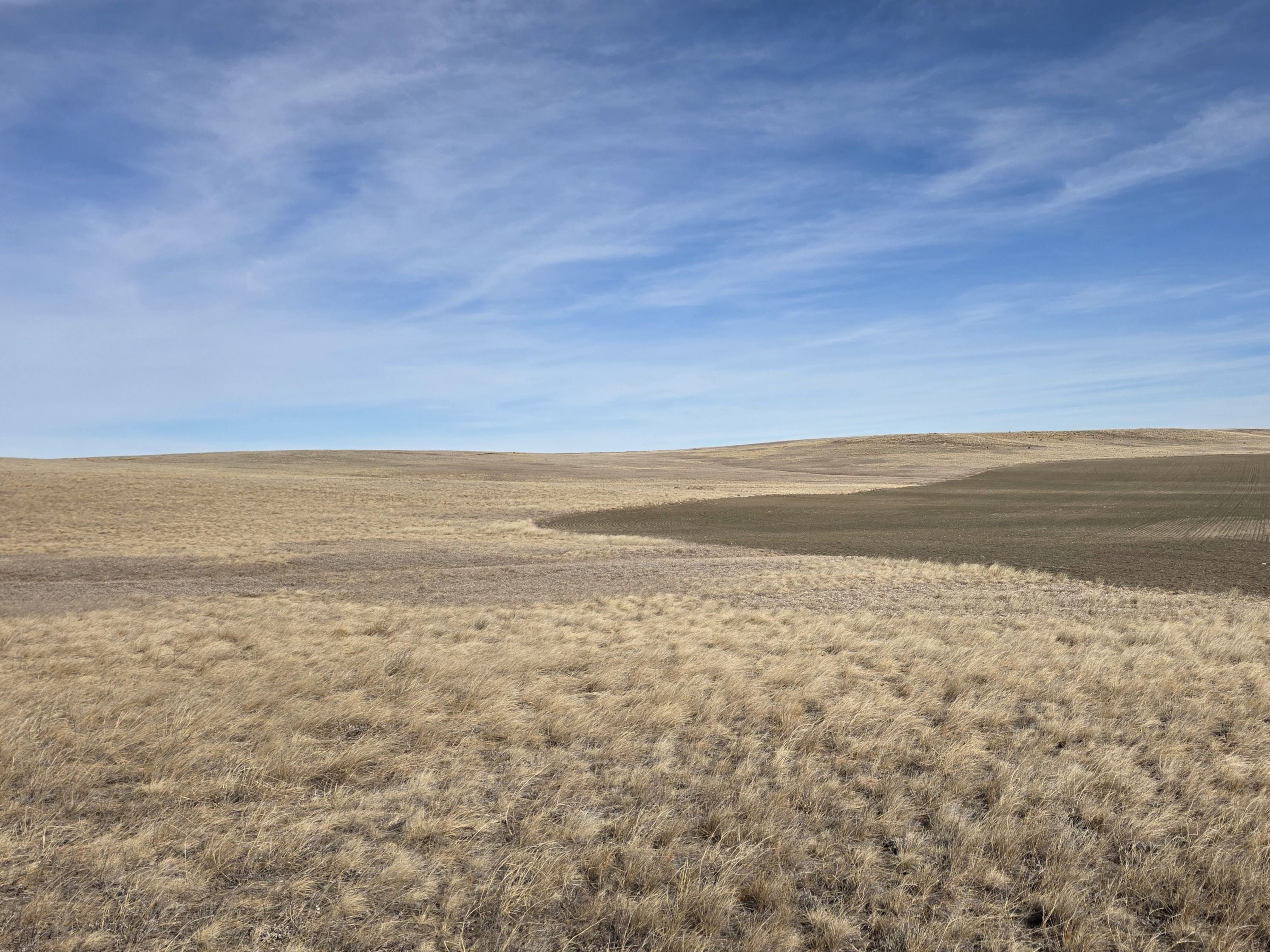 Listing Photo: 20260204_134633