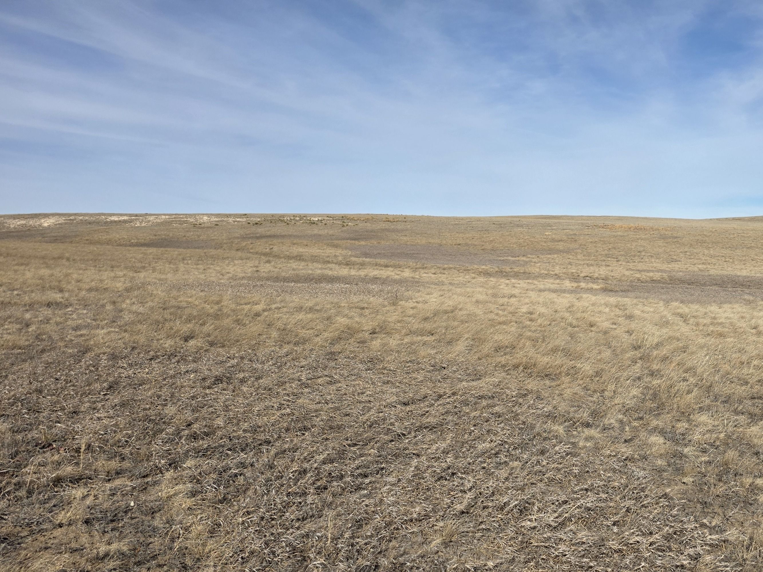 Listing Photo: 20260204_134641