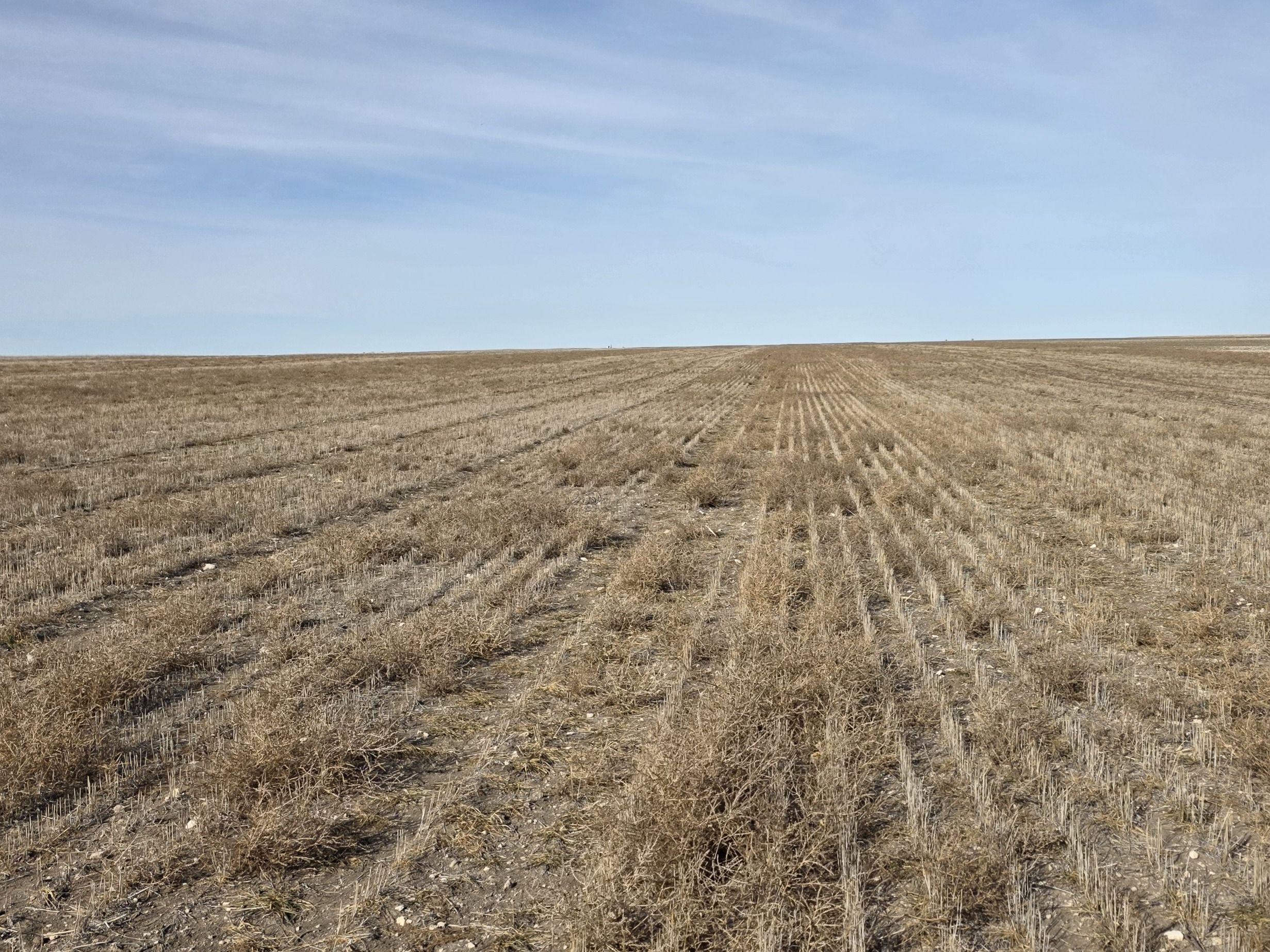 Listing Photo: 20260204_134925