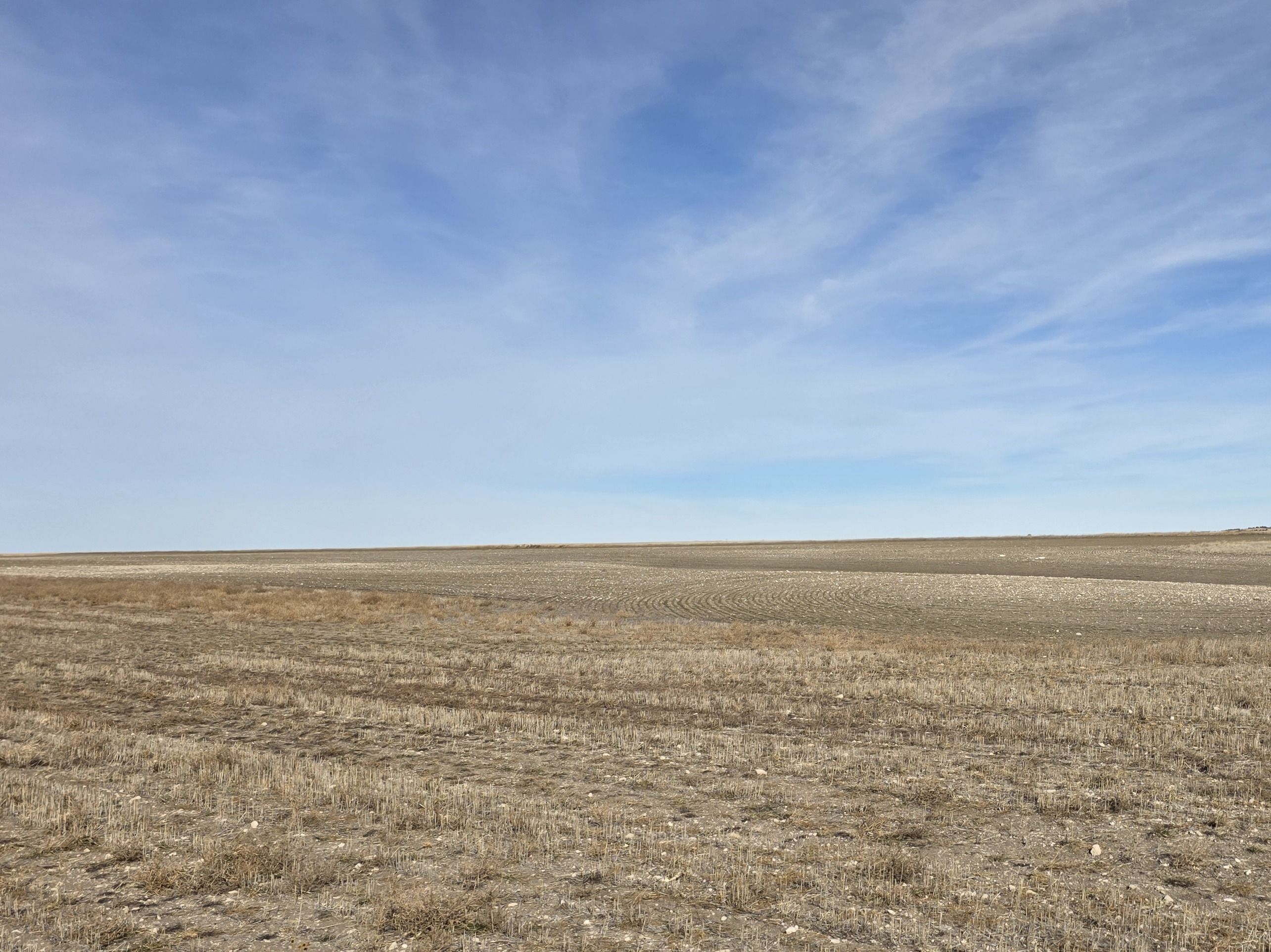 Listing Photo: 20260204_134930