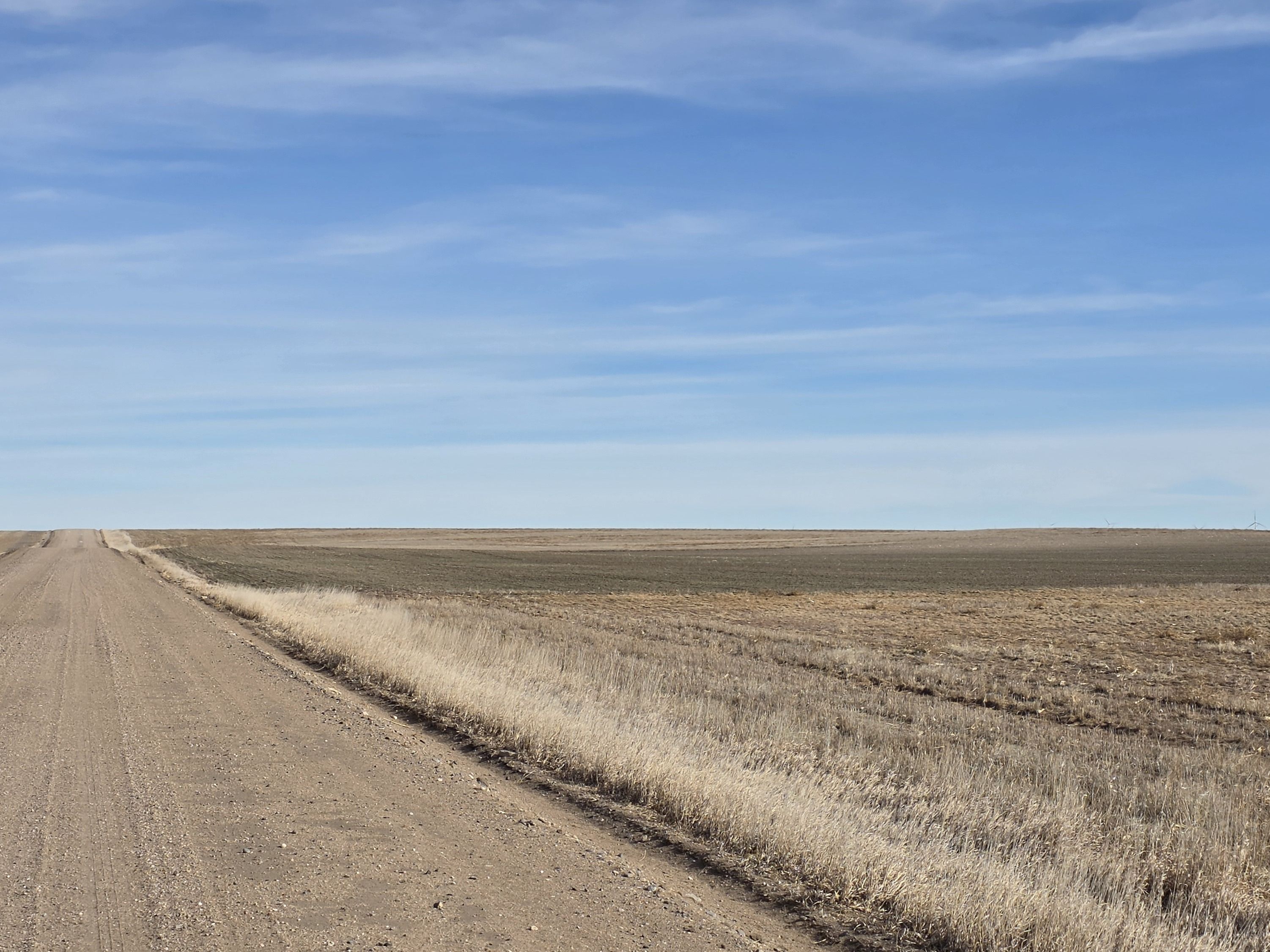 Listing Photo: 20260204_135600