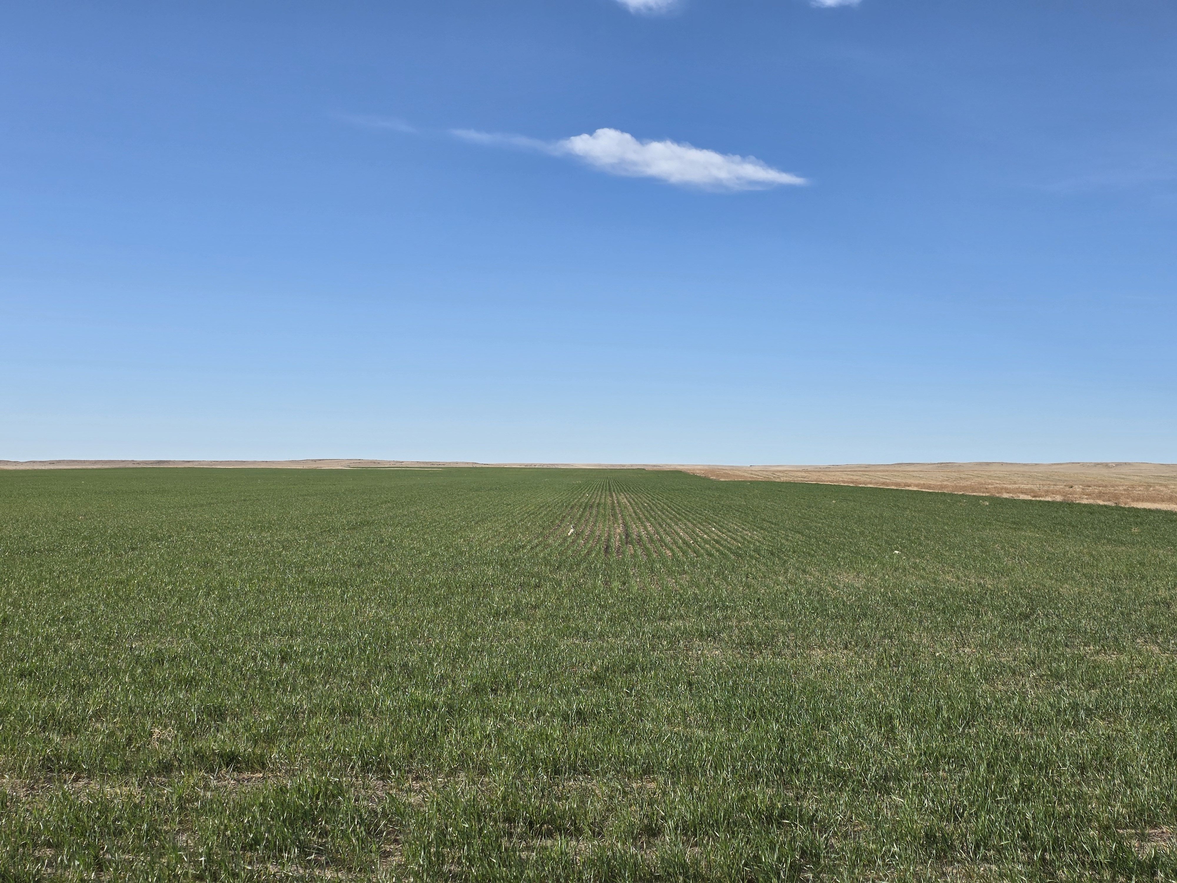 Listing Photo: 20260416_083052