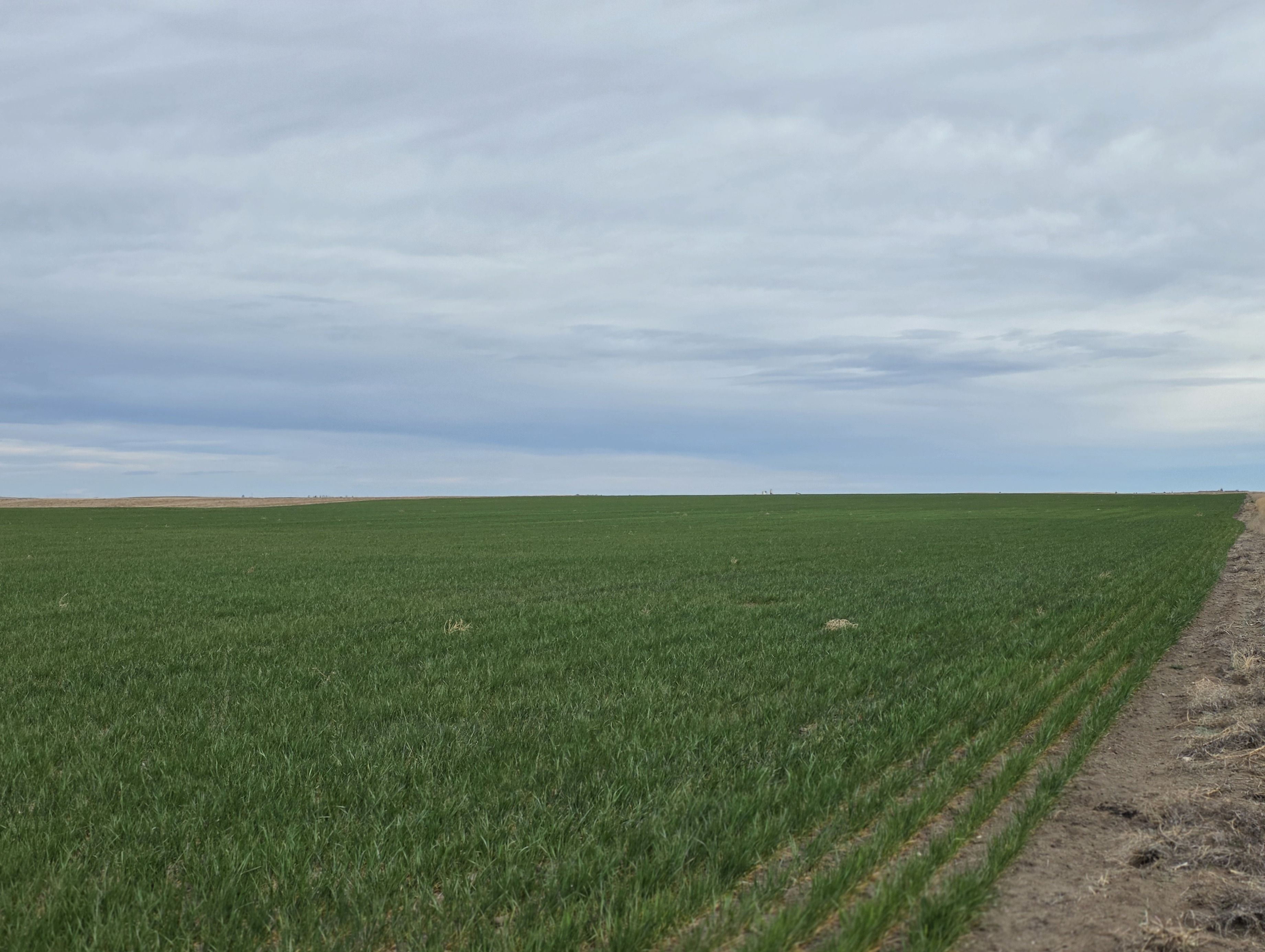 Listing Photo: 20260416_091058