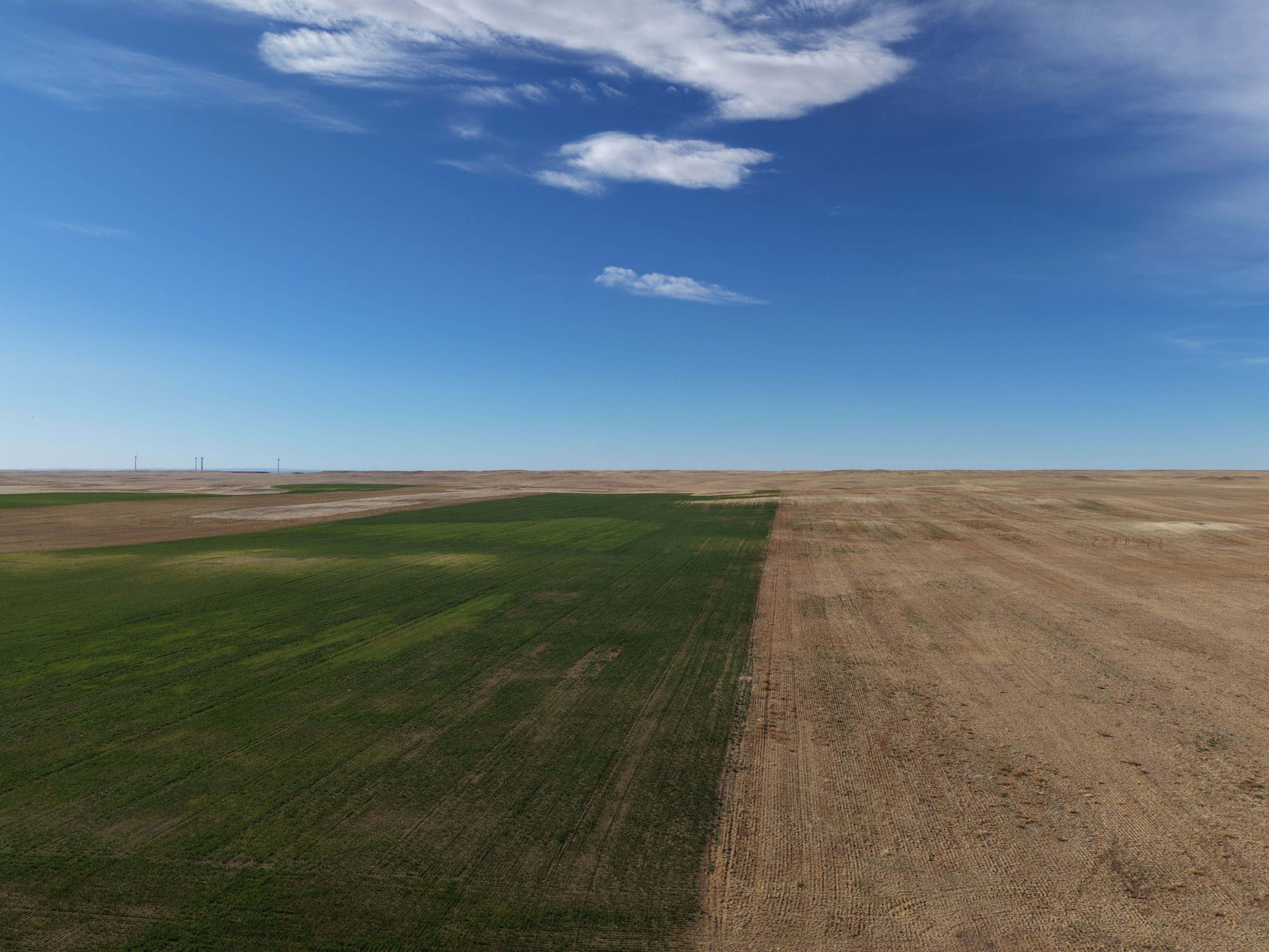 Listing Photo: DJI_20260416083637_0087_D