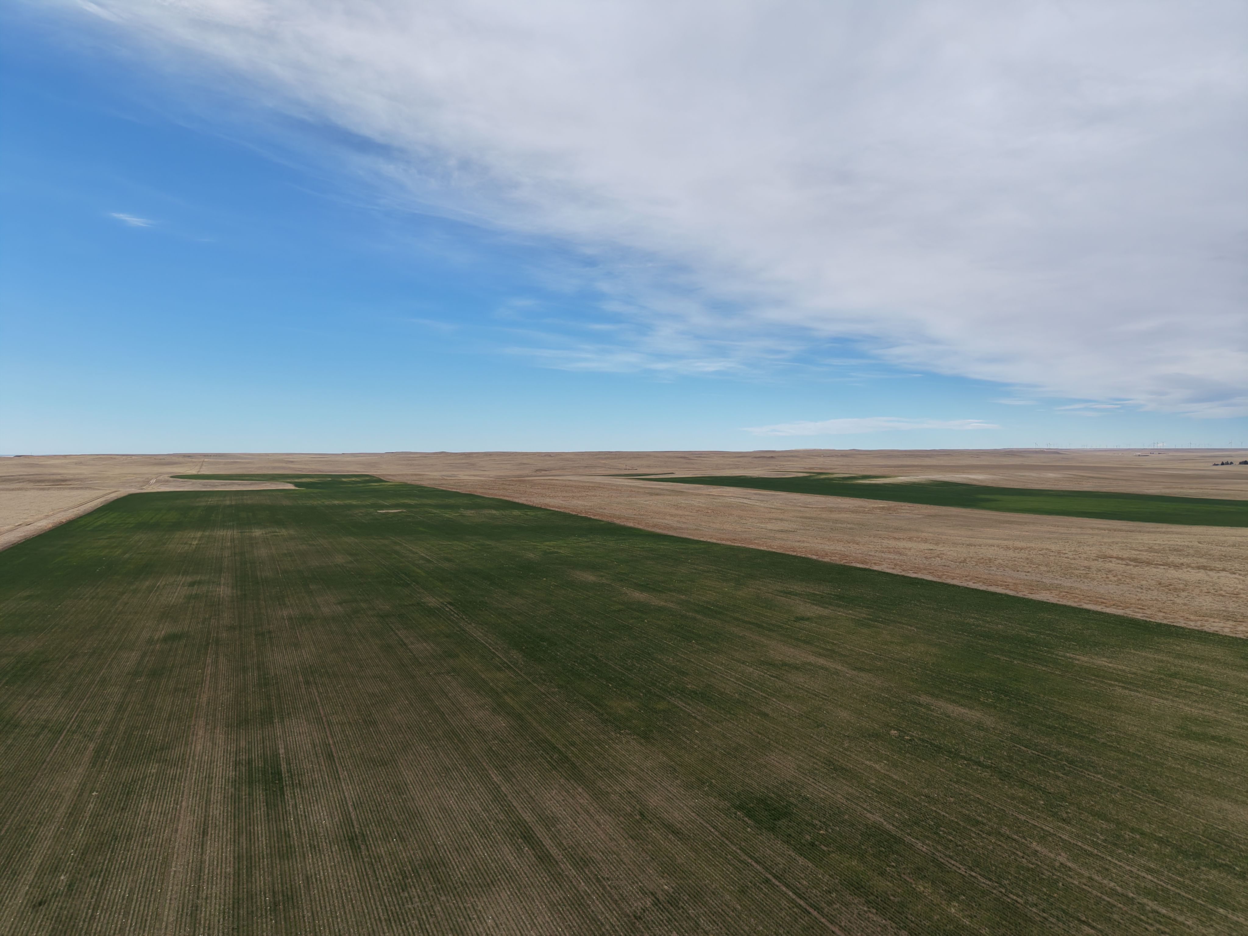 Listing Photo: DJI_20260416084742_0105_D