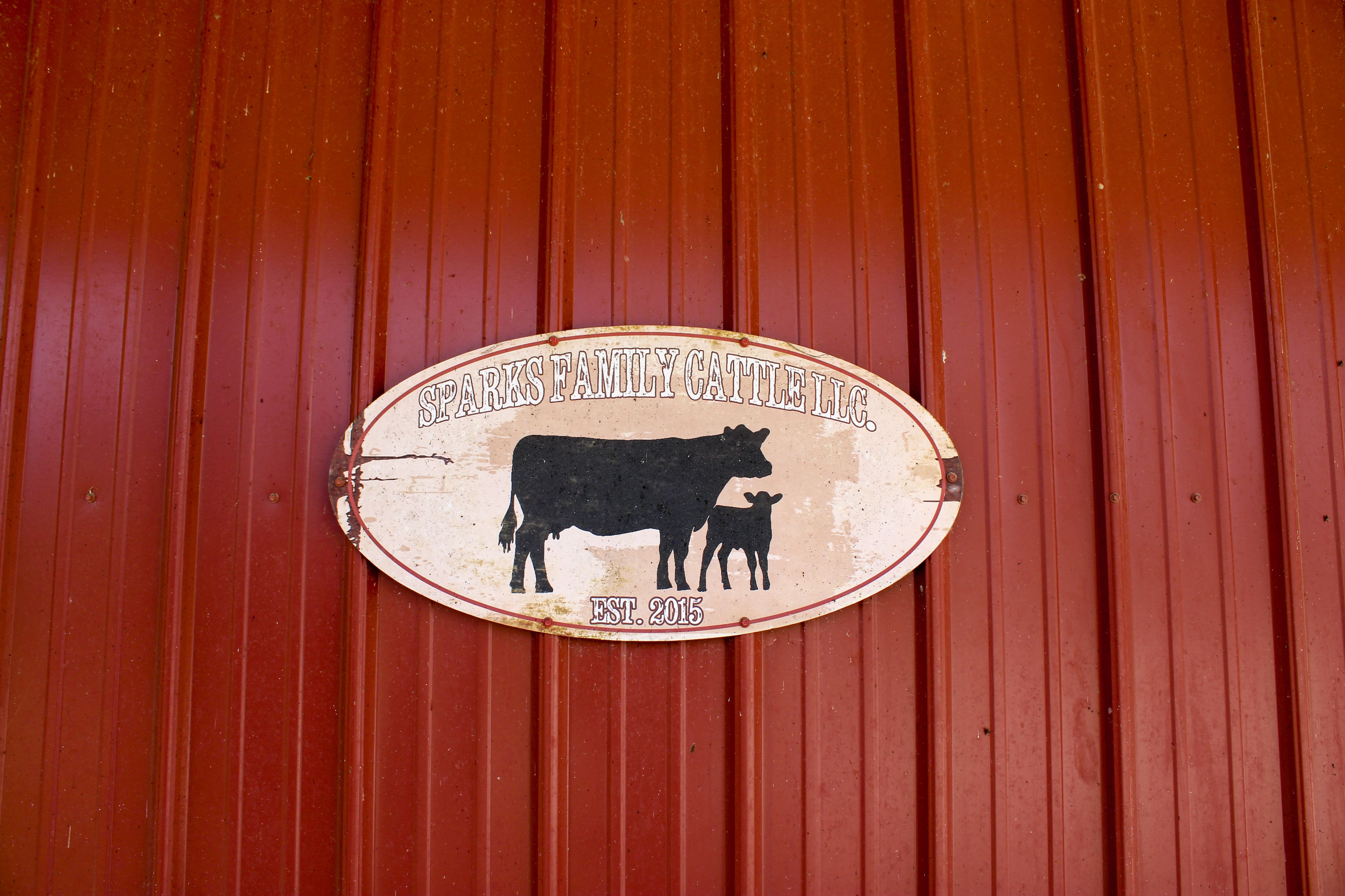 Listing Photo: 10-IMG_3047