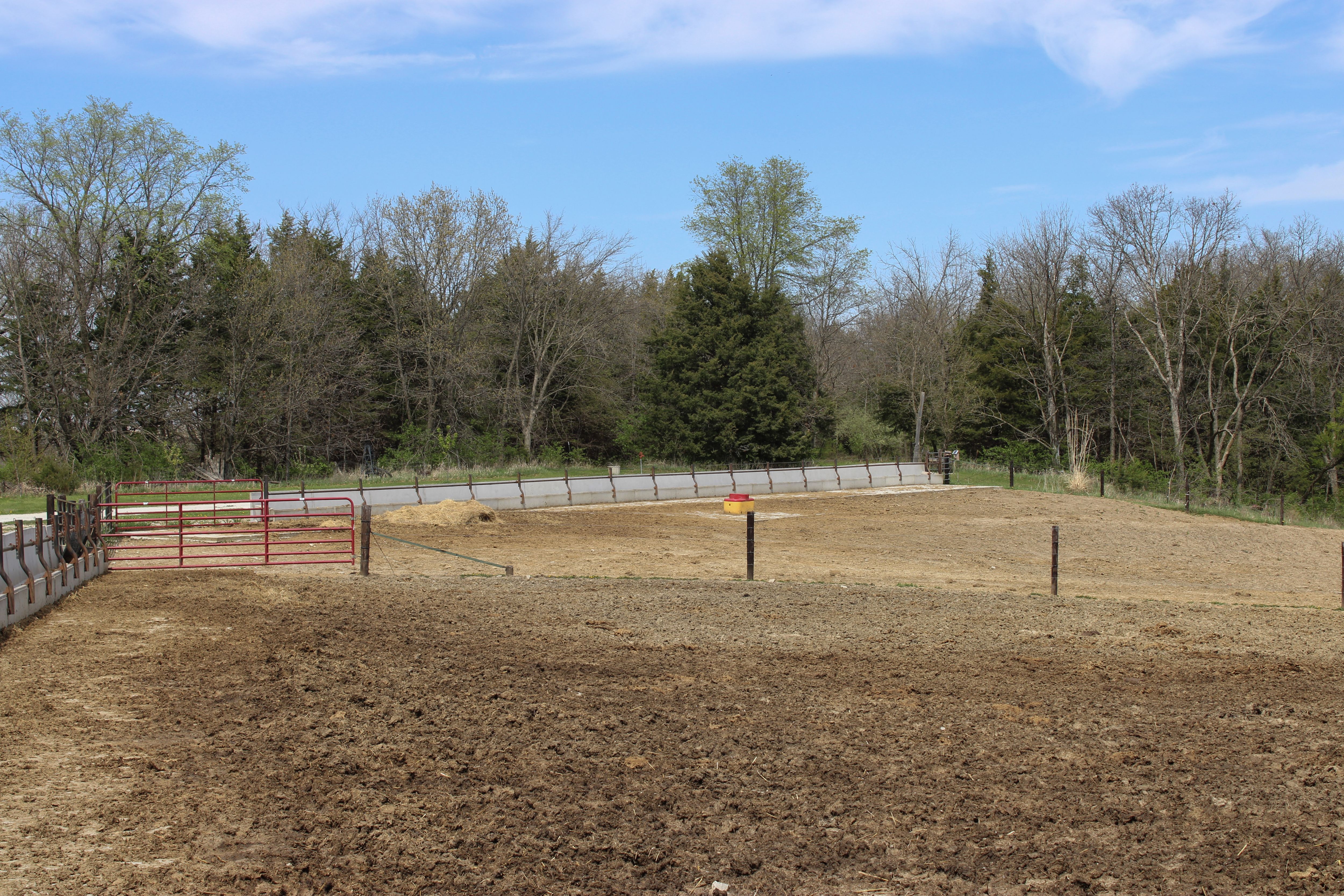 Listing Photo: 100-IMG_3137