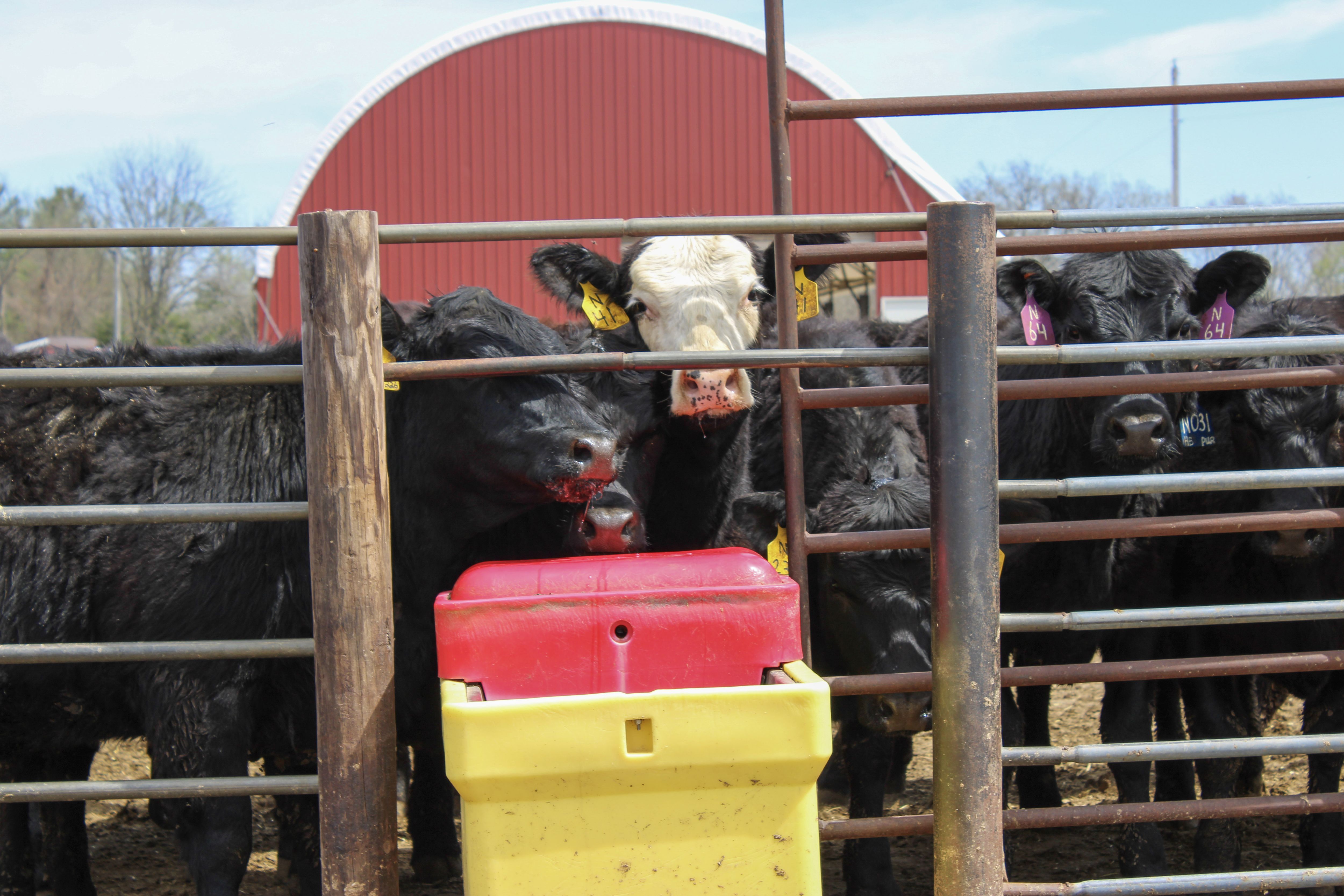 Listing Photo: 107-IMG_3144