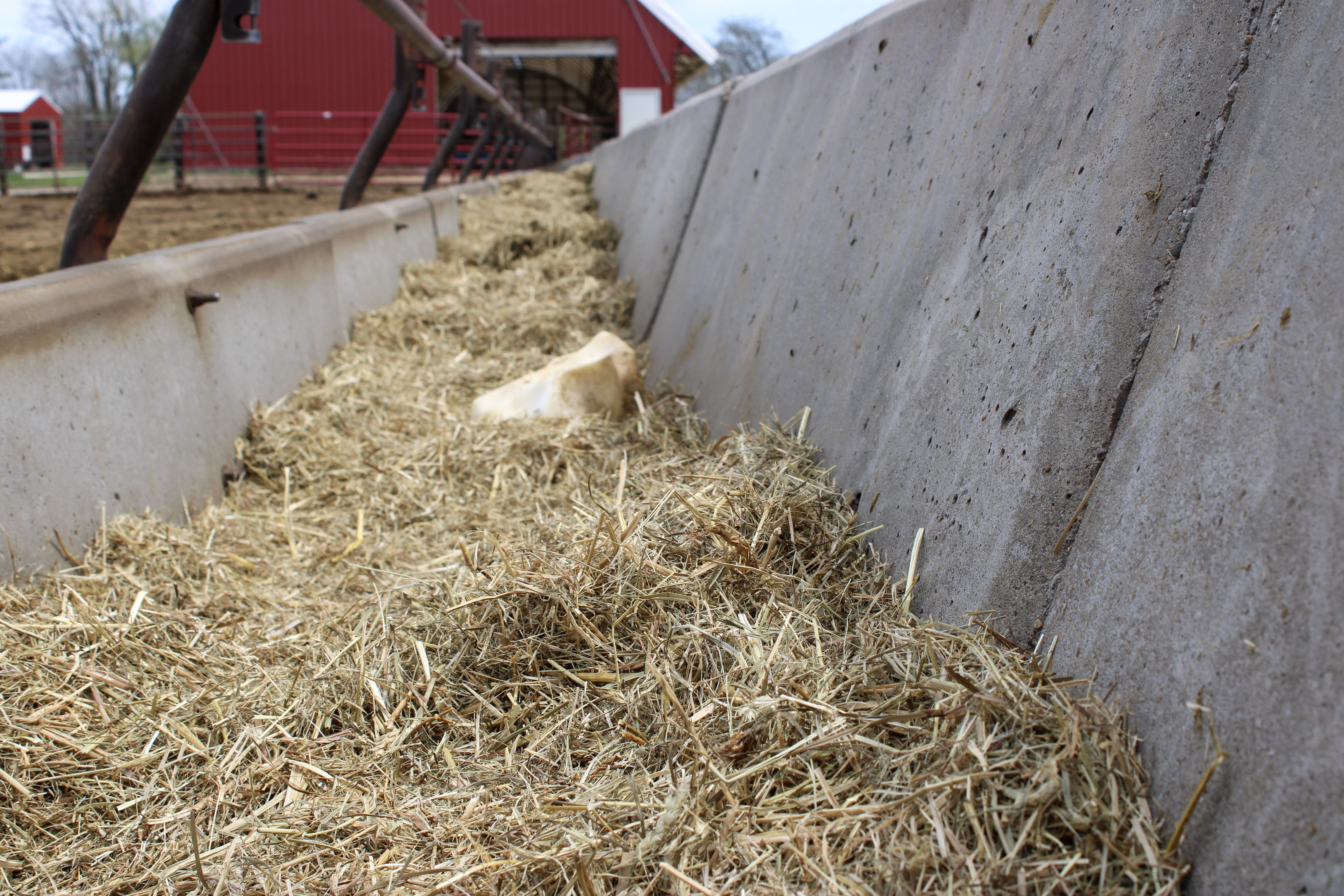 Listing Photo: 124-IMG_3161