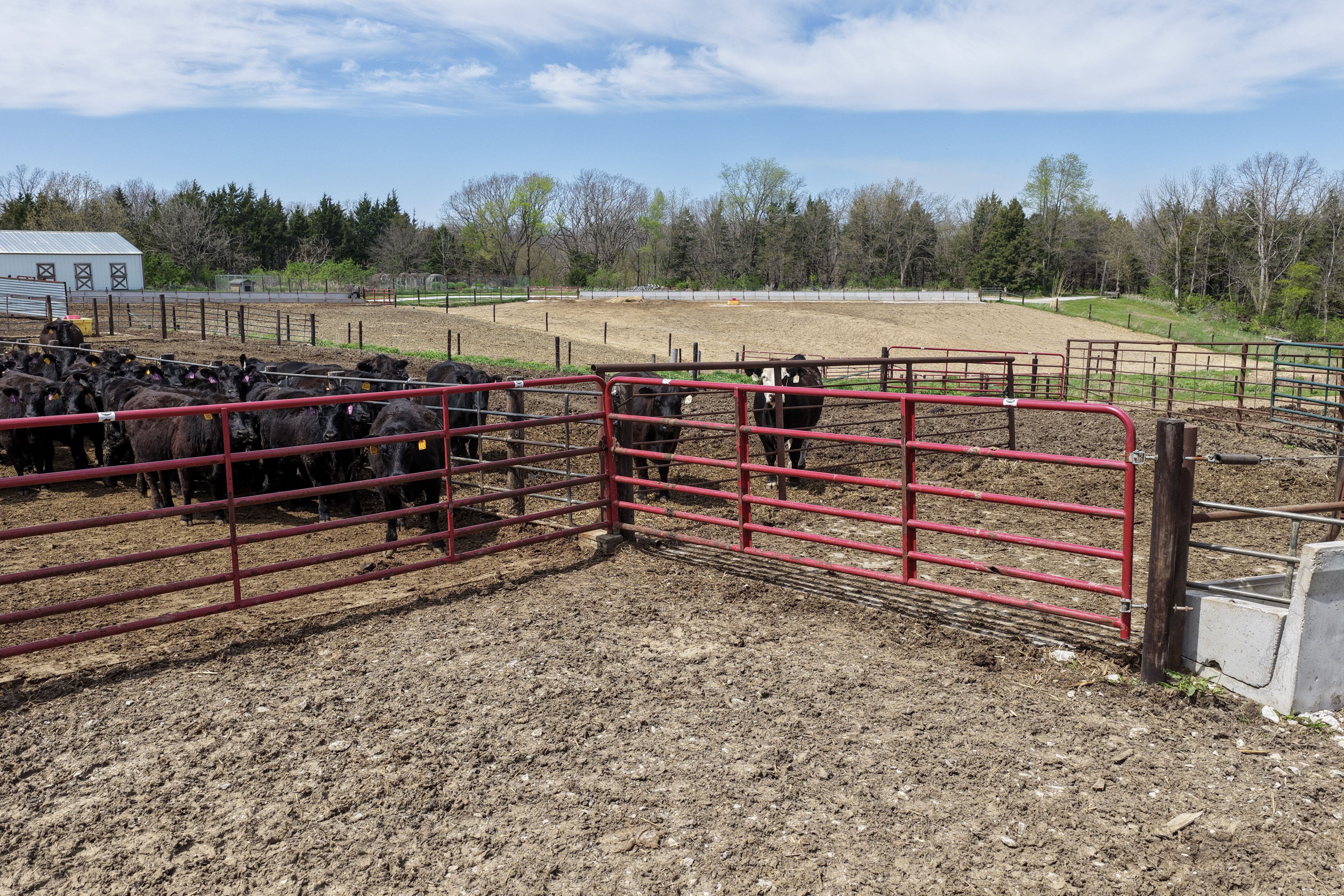 Listing Photo: 231-DJI_20260421134108_0939_D