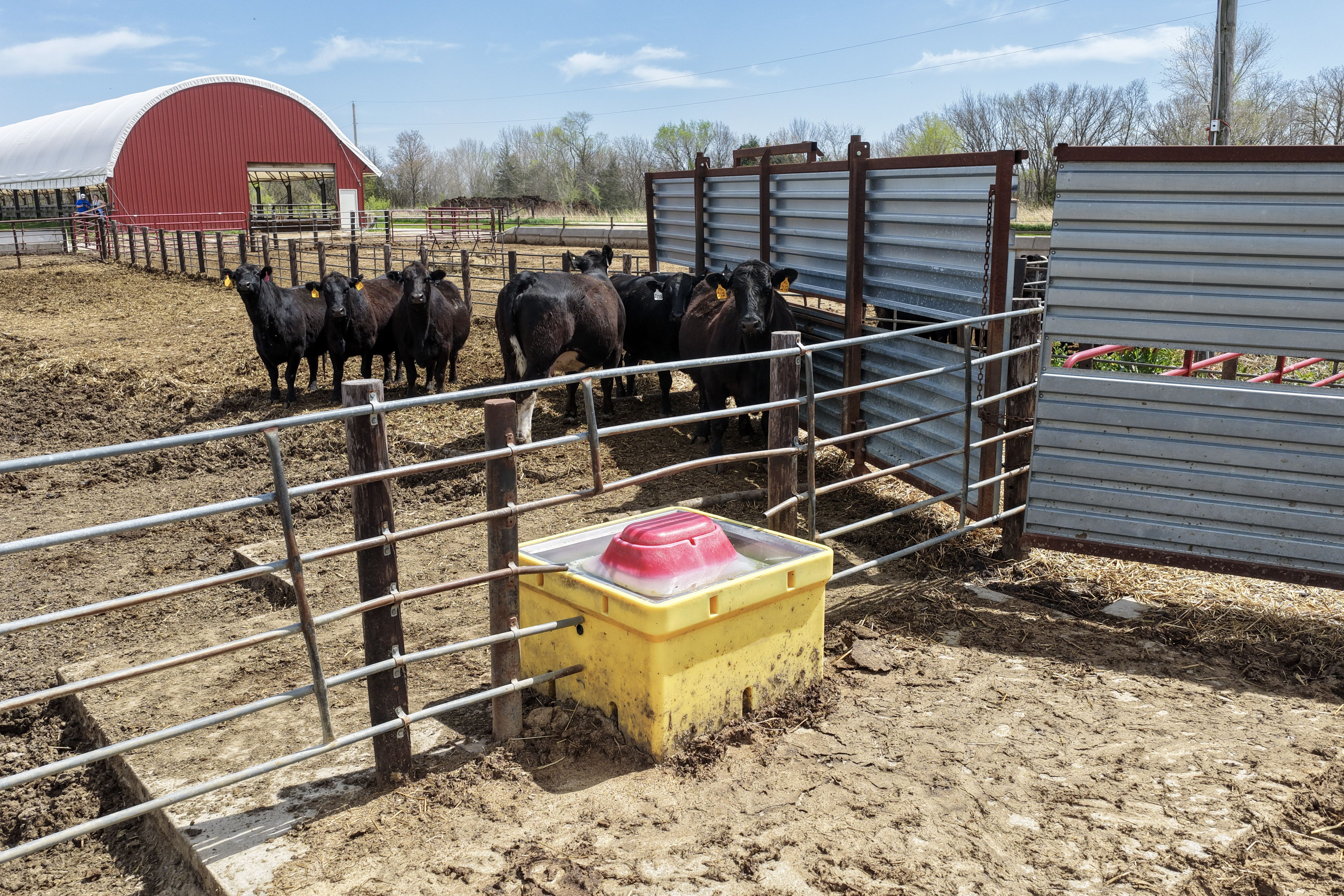 Listing Photo: 299-DJI_20260421135424_0013_D