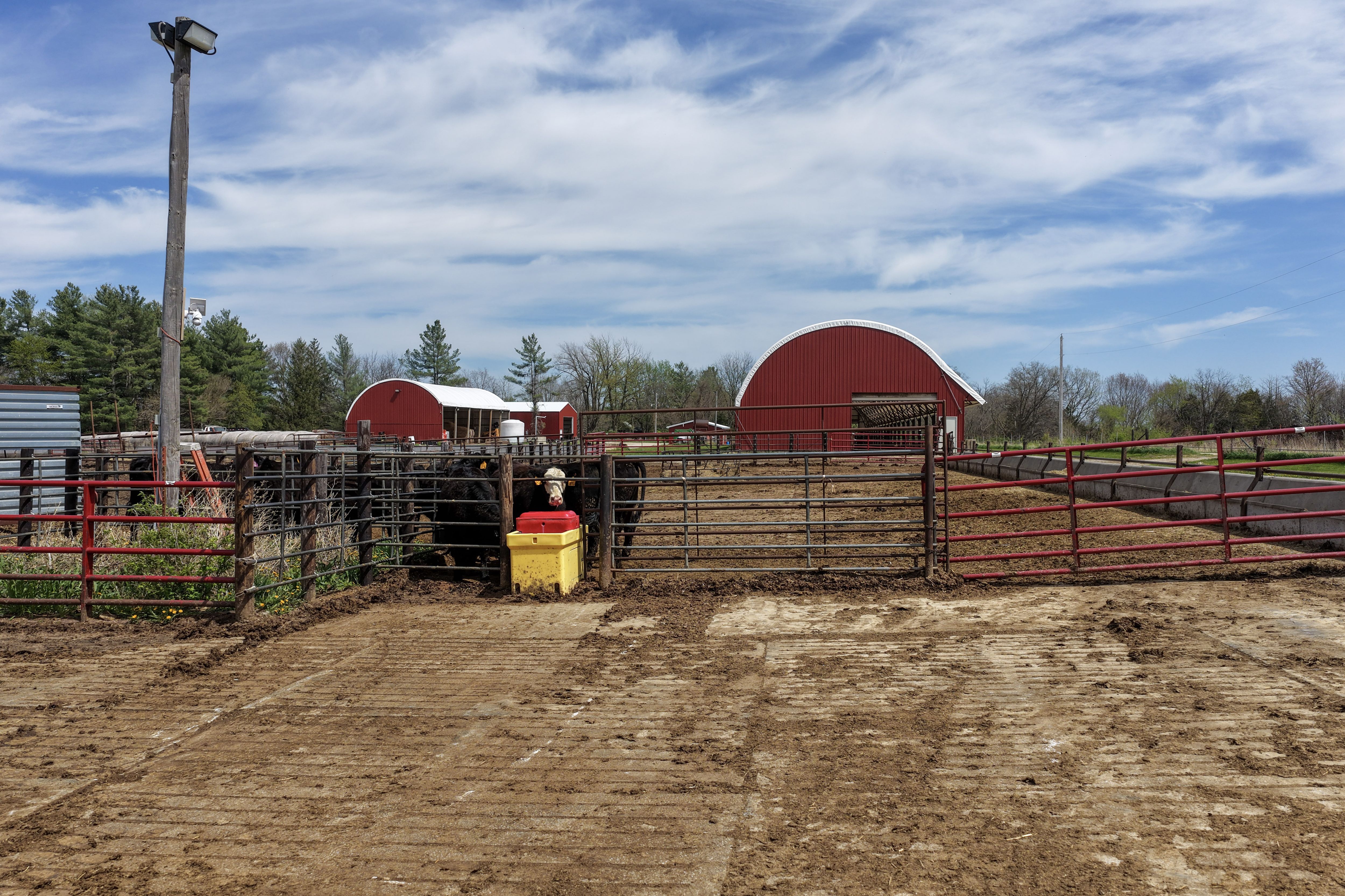 Listing Photo: 381-DJI_20260421141256_0100_D