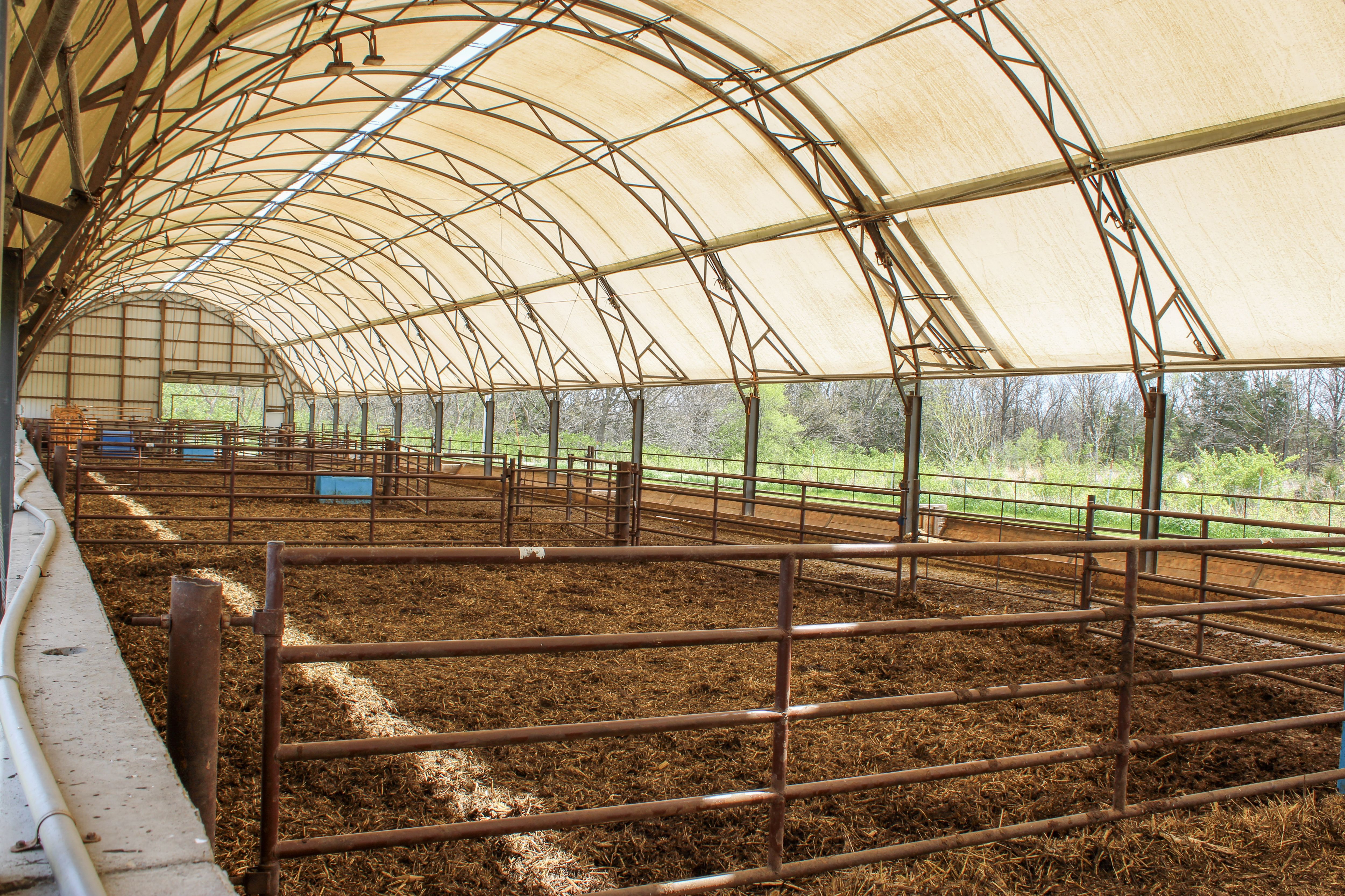 Listing Photo: 39-IMG_3076