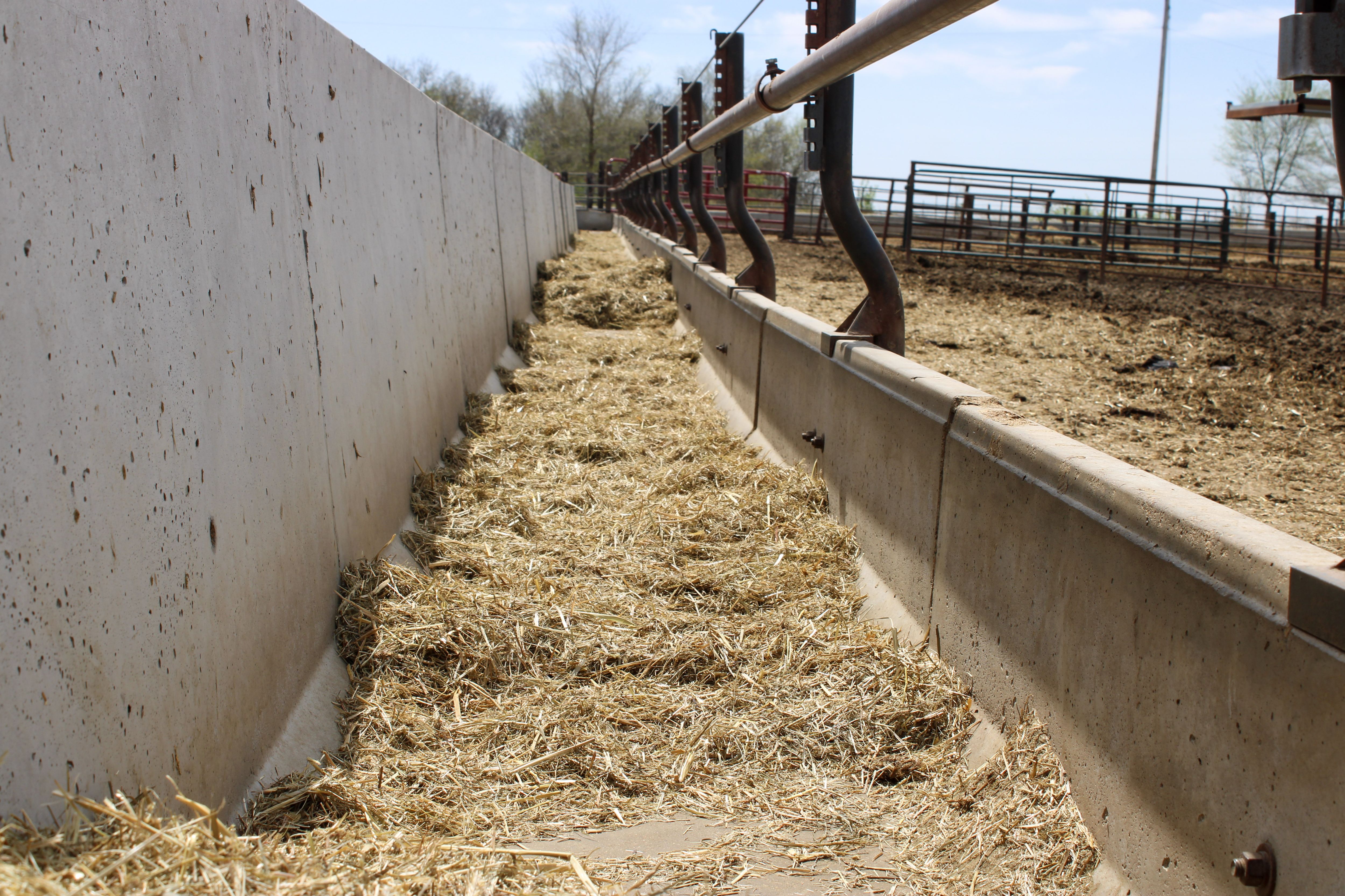 Listing Photo: 51-IMG_3088