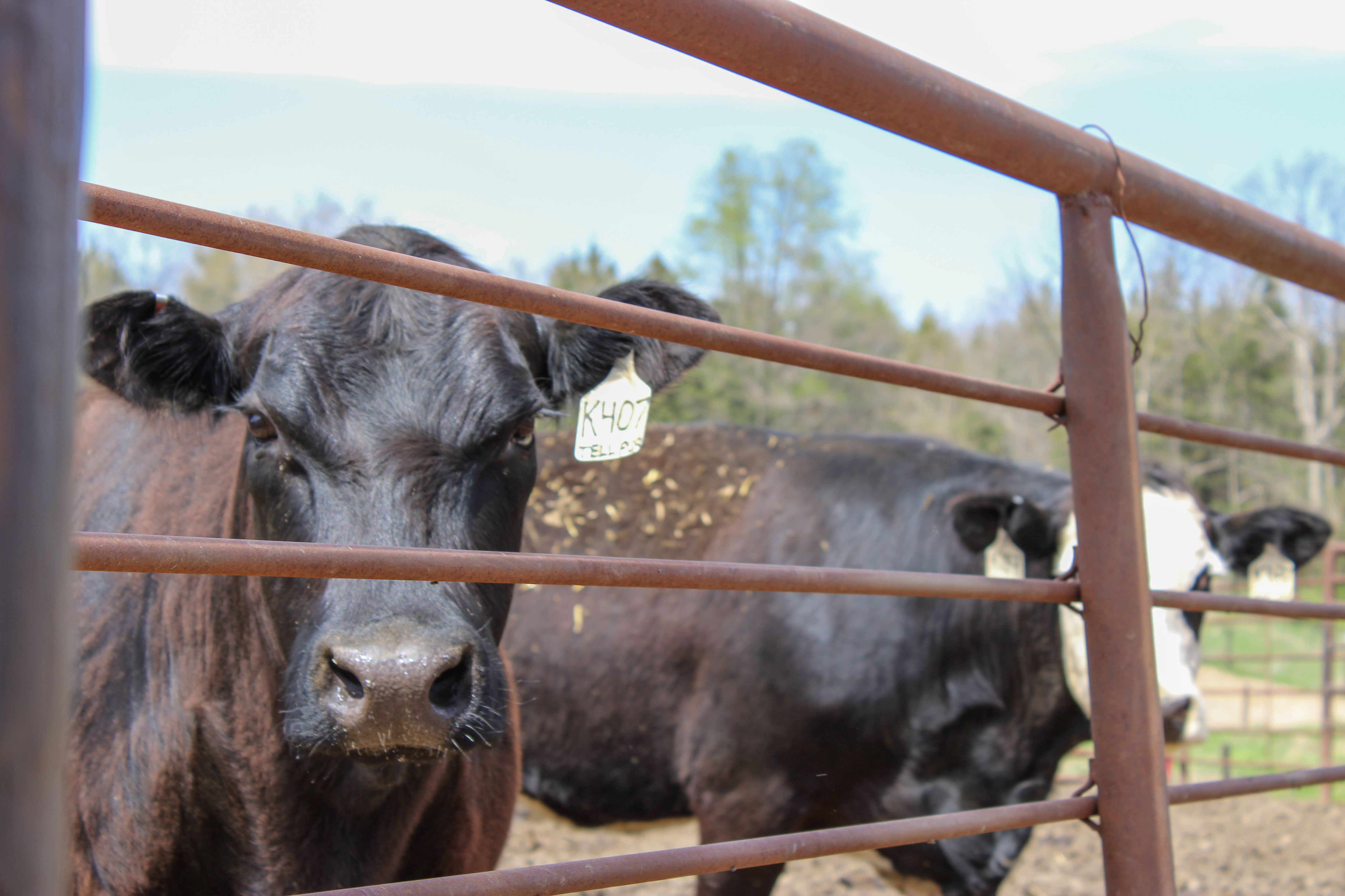 Listing Photo: 69-IMG_3106