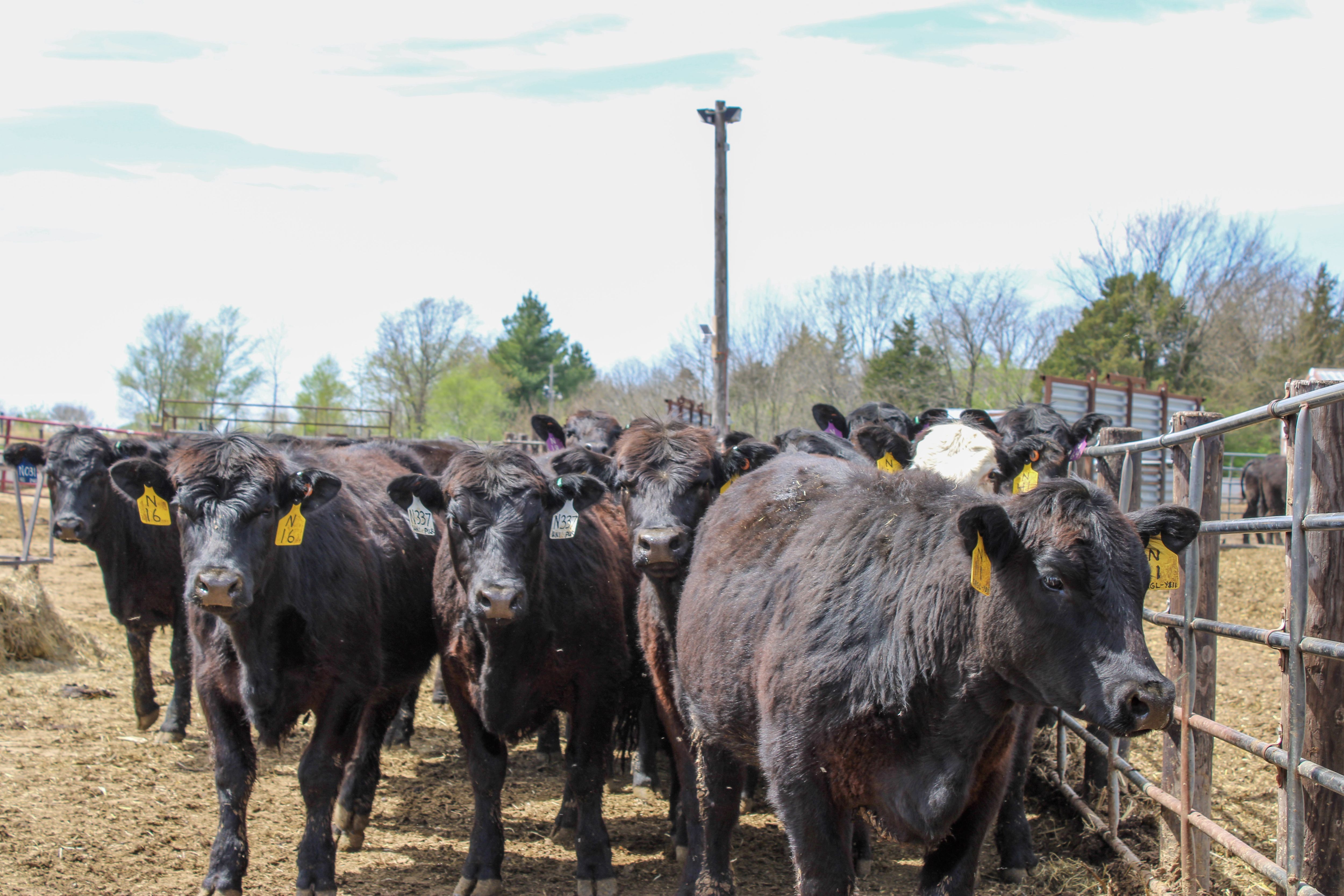 Listing Photo: 70-IMG_3107