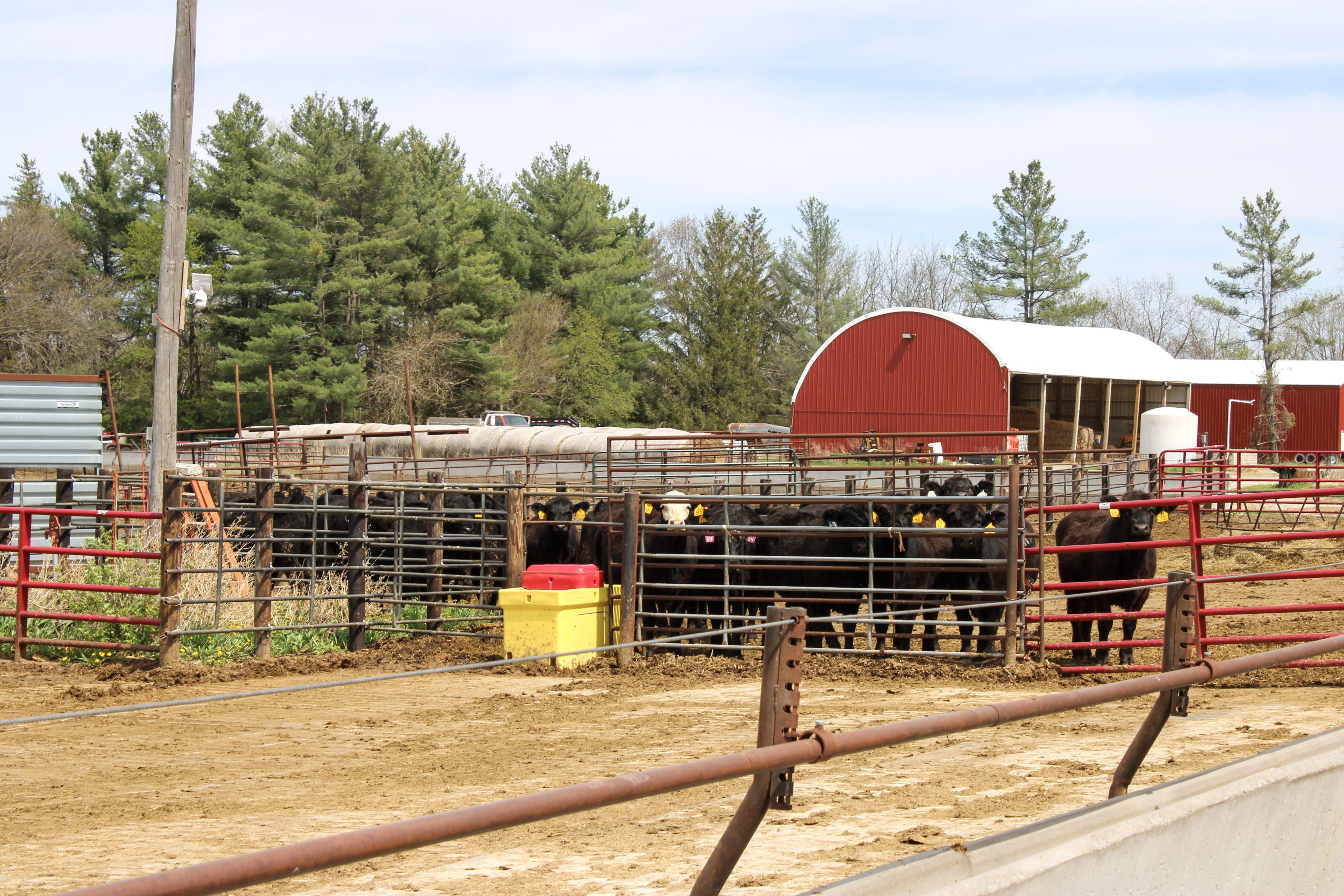 Listing Photo: 95-IMG_3132