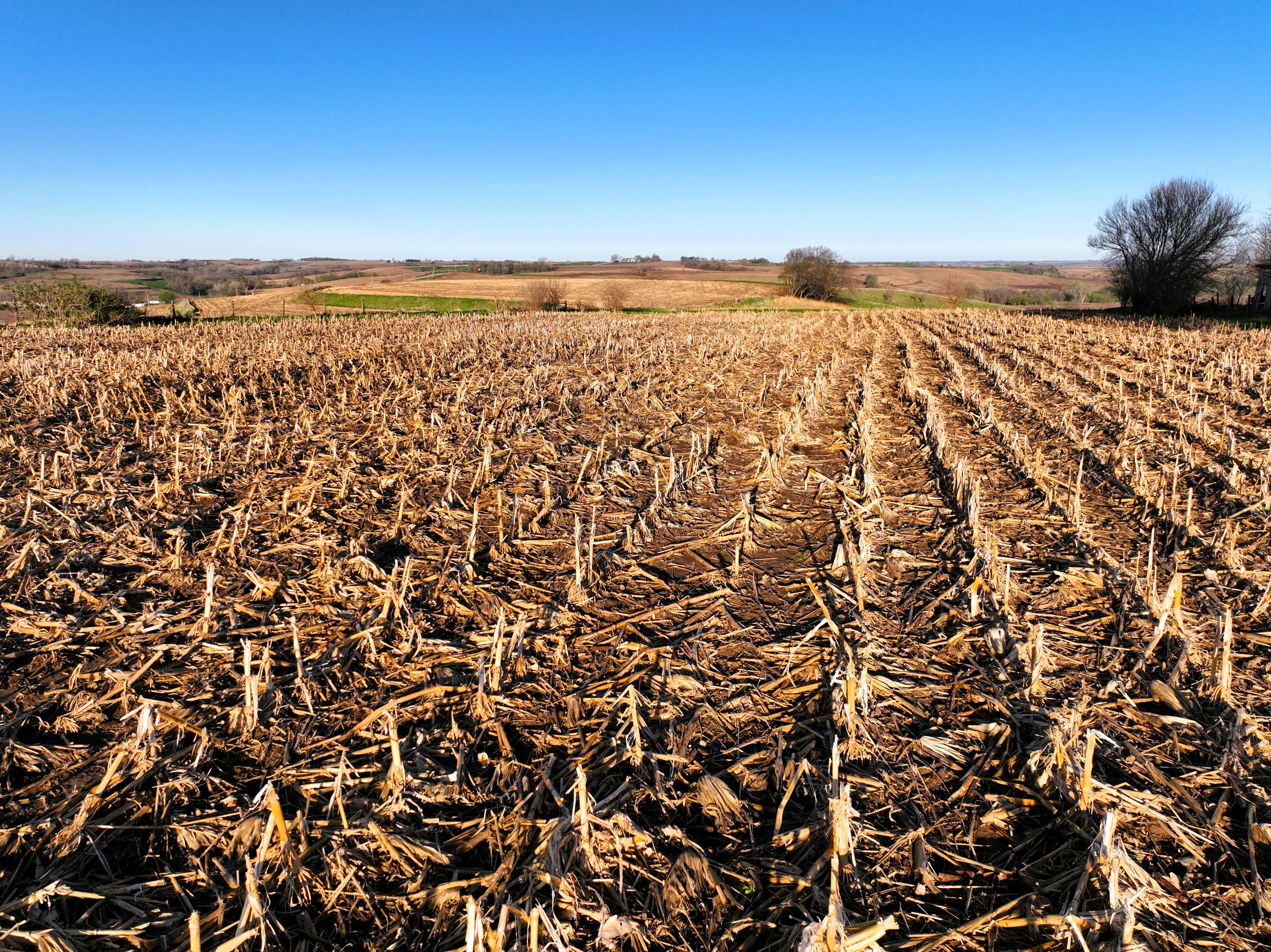 Listing Photo: DJI_0389