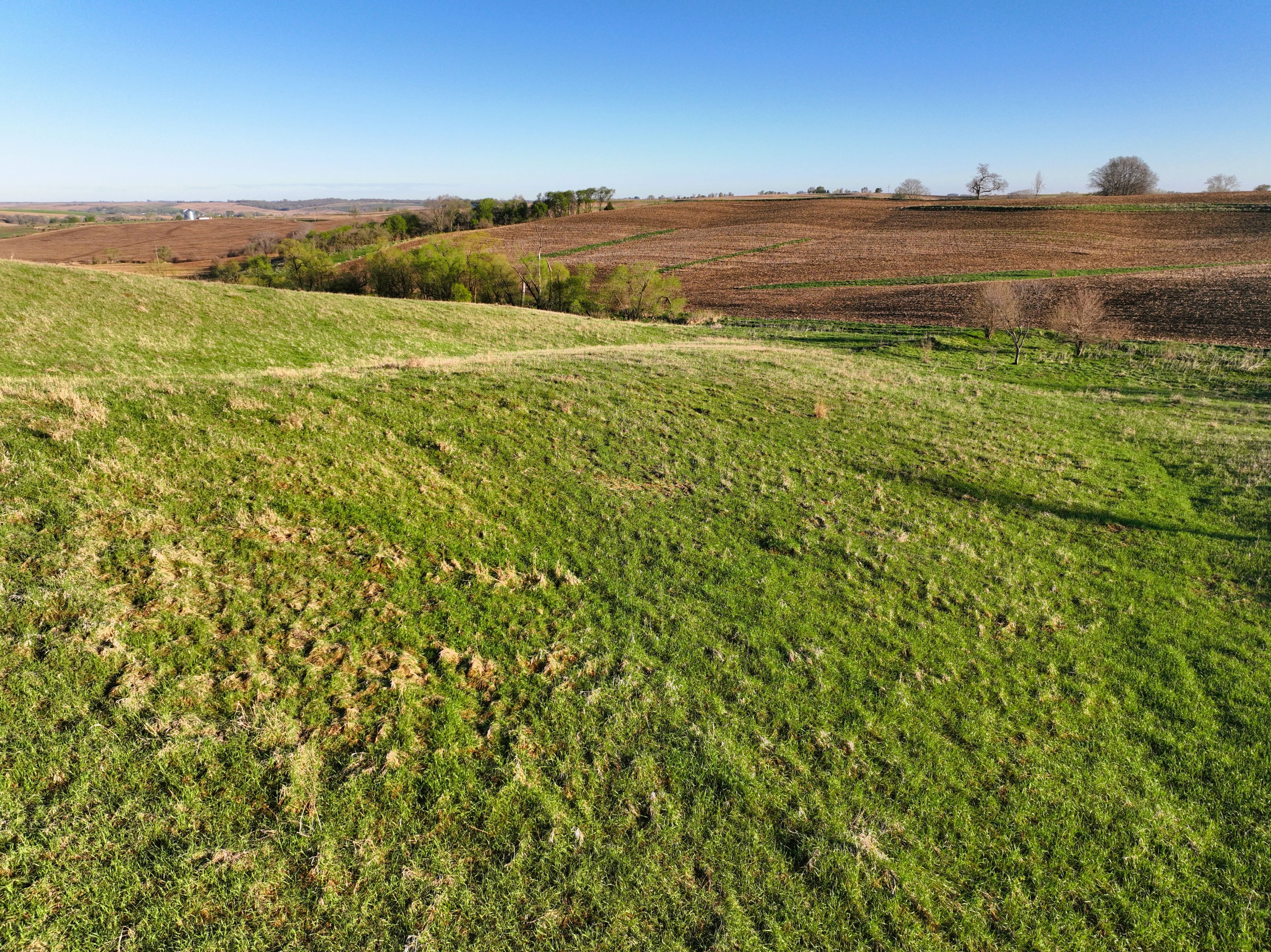 Listing Photo: DJI_0402