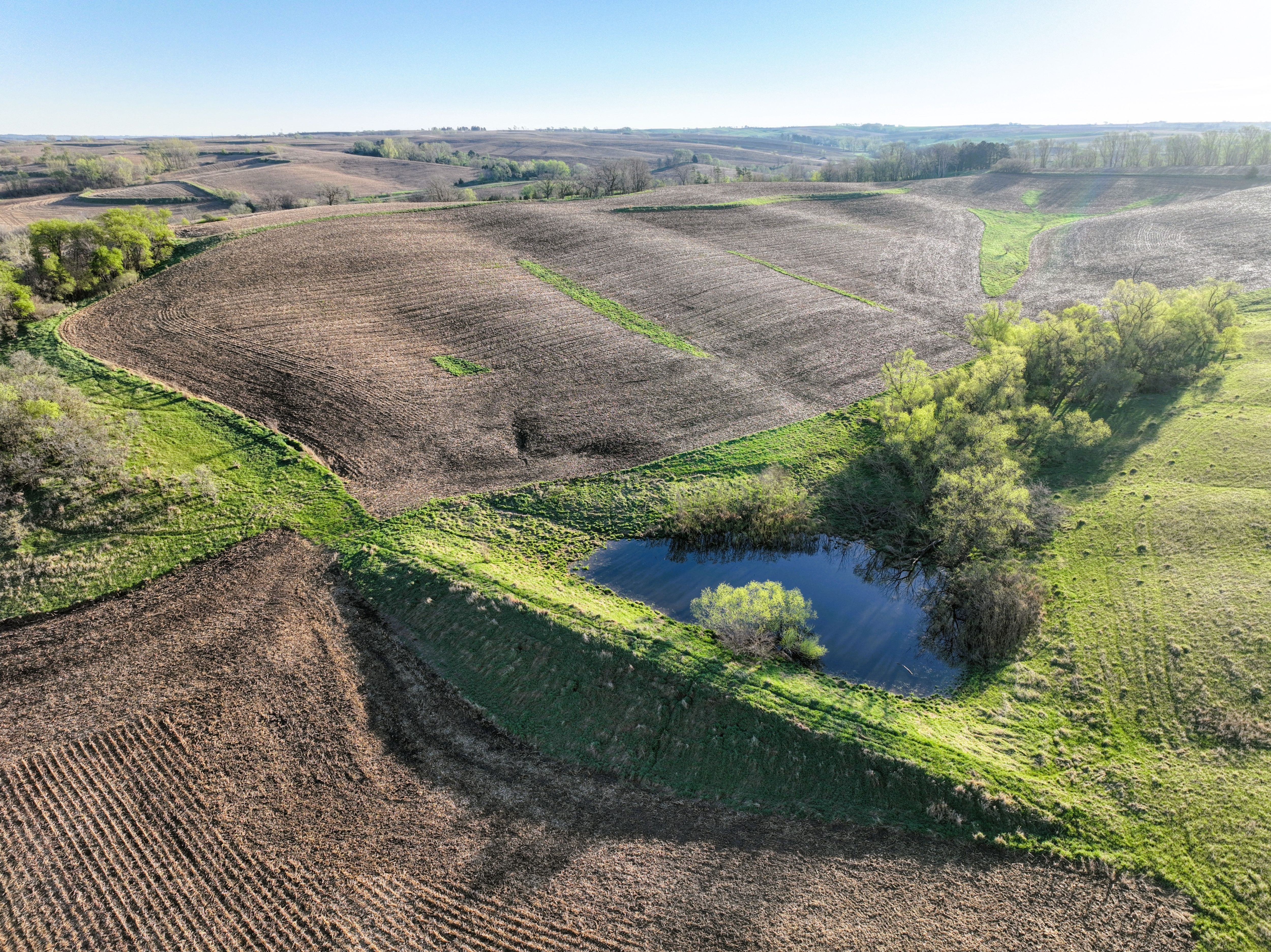 Listing Photo: DJI_0410