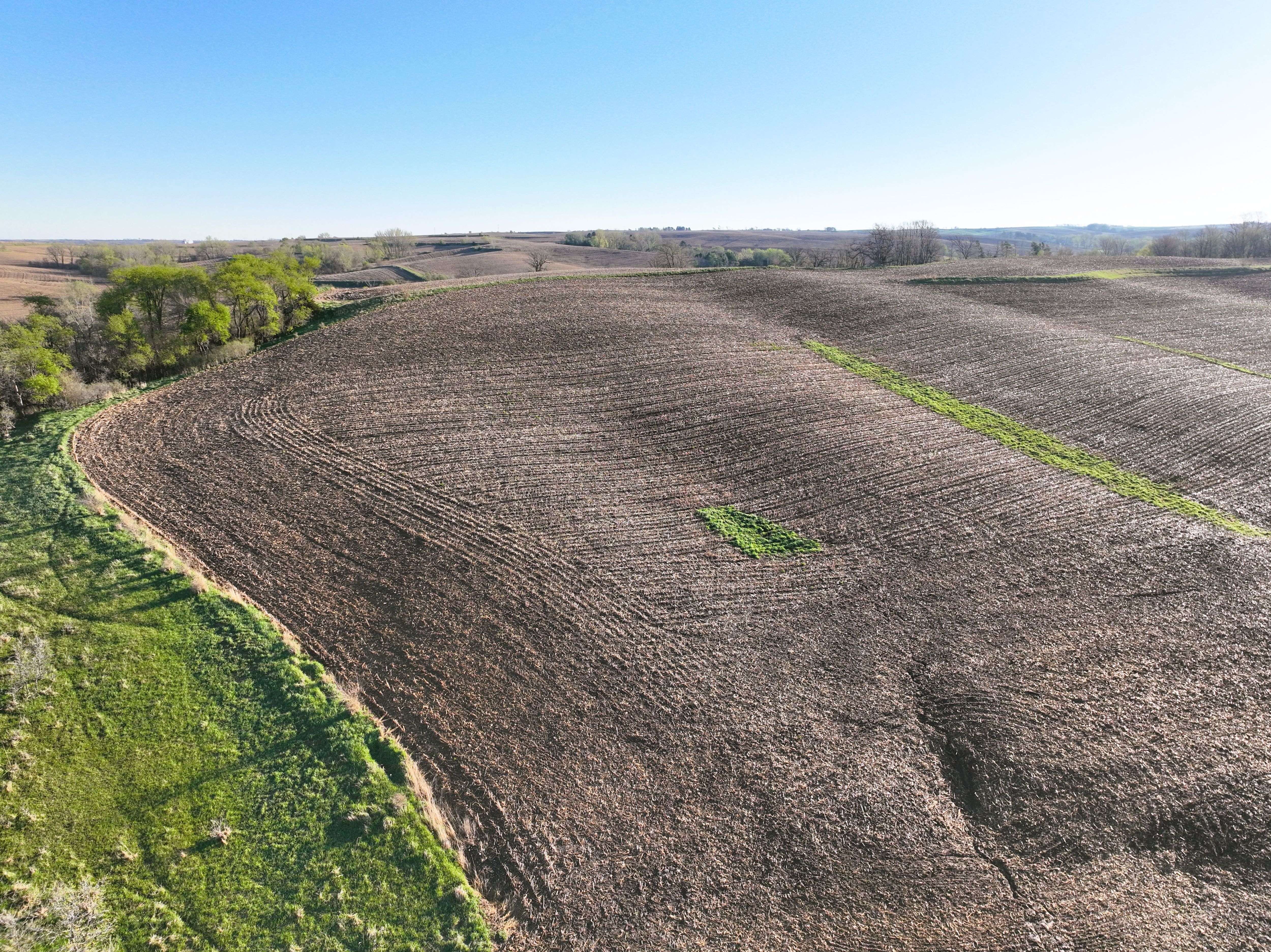 Listing Photo: DJI_0413