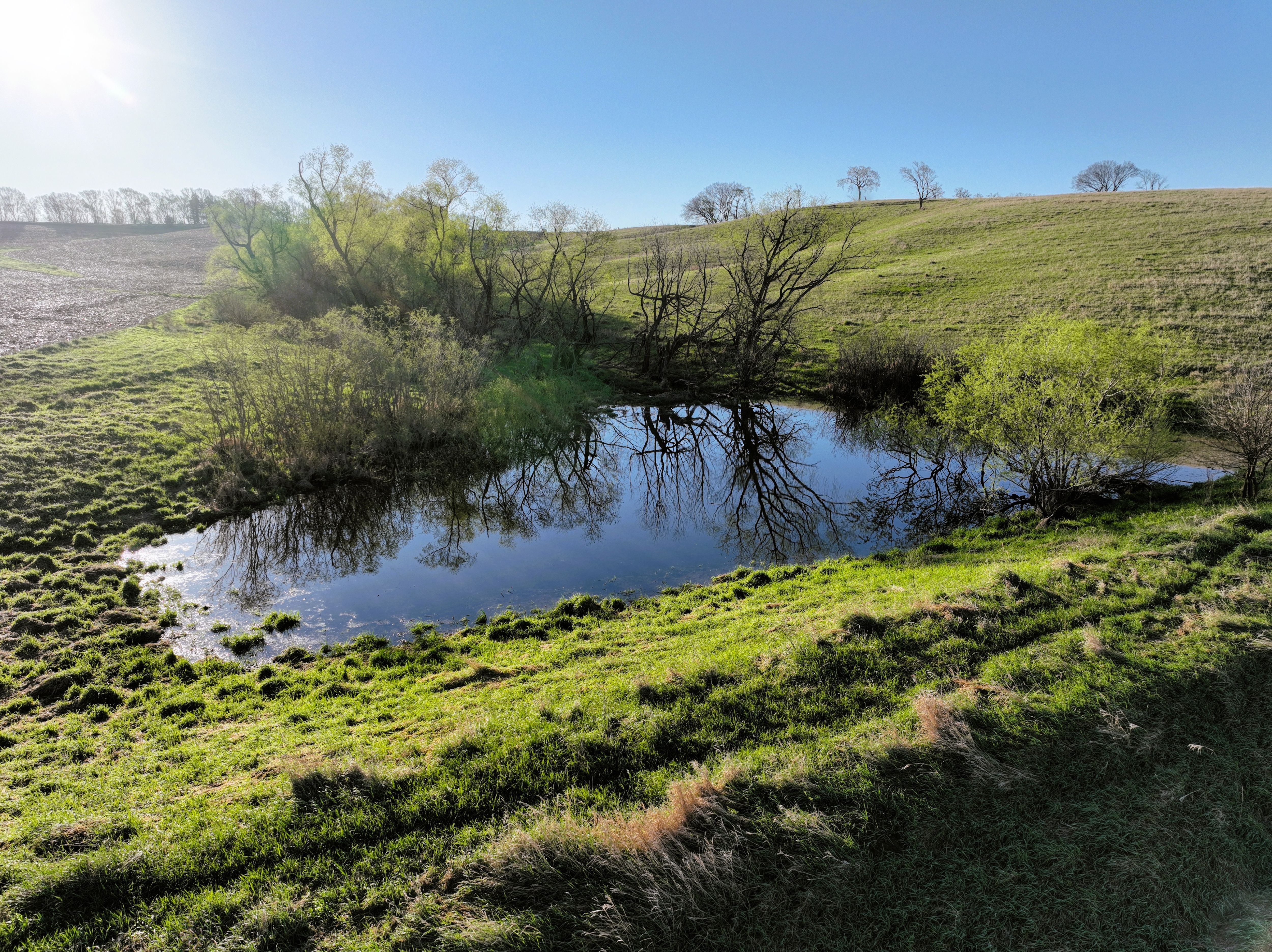 Listing Photo: DJI_0417