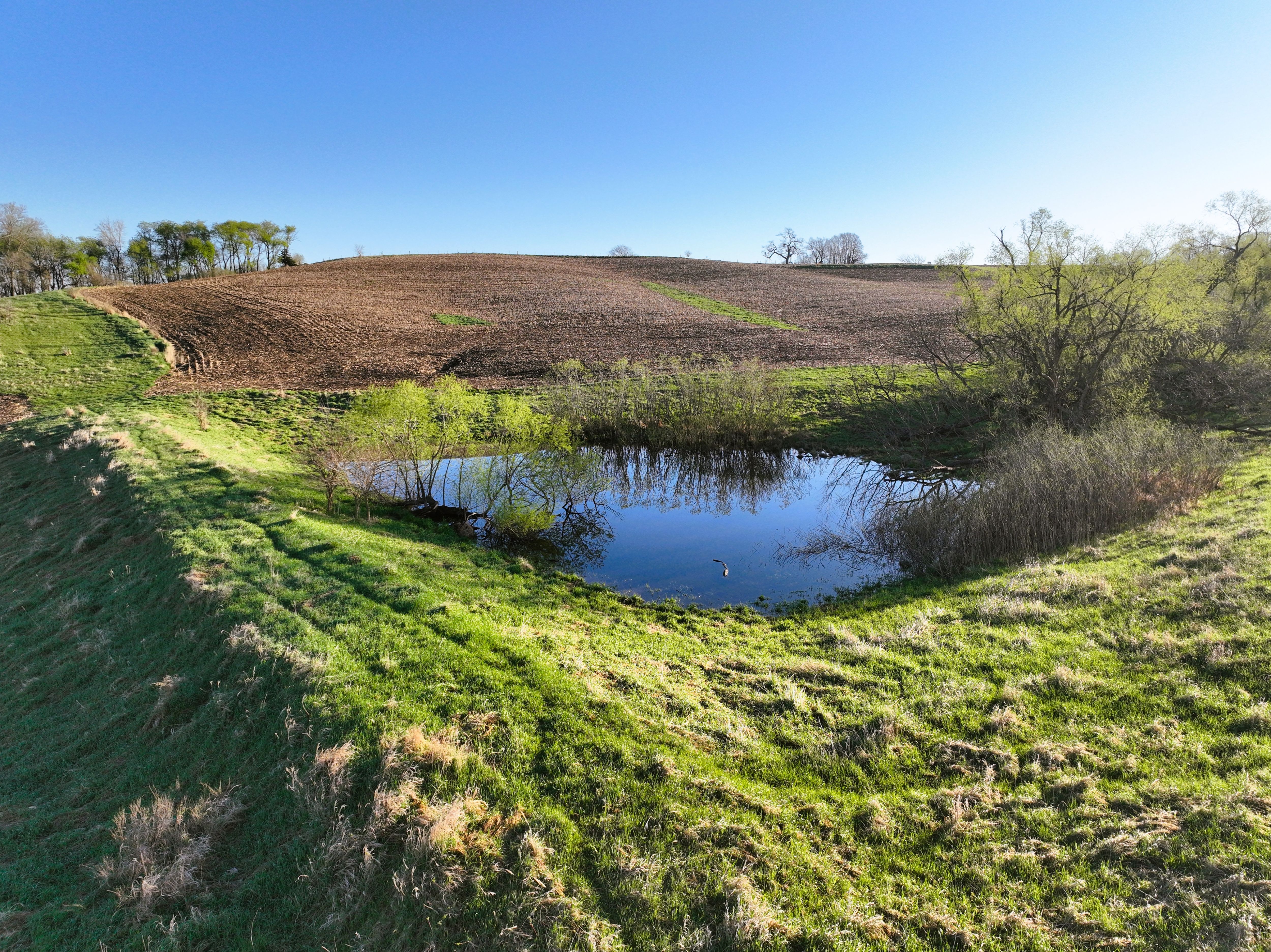 Listing Photo: DJI_0420