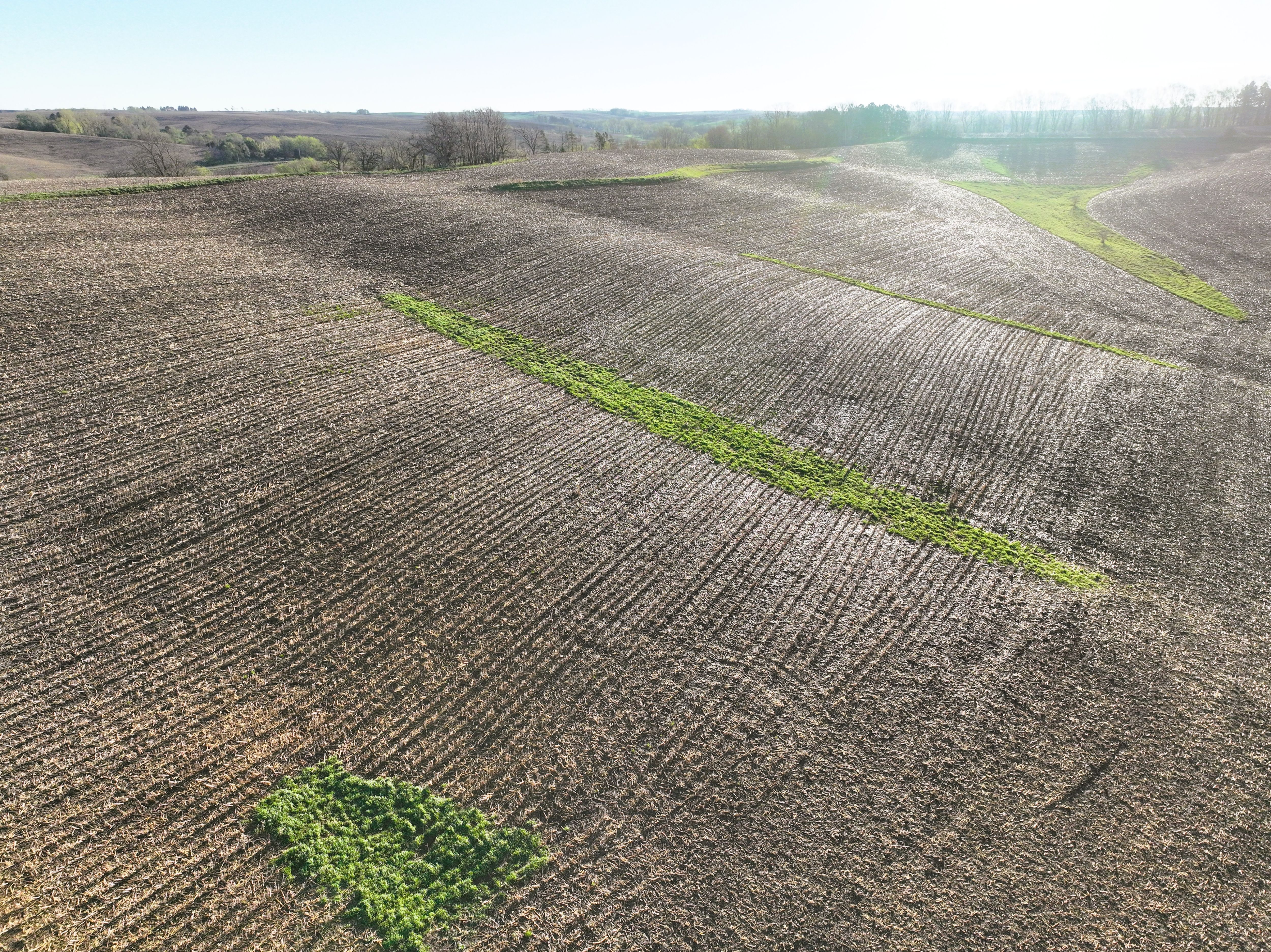 Listing Photo: DJI_0423