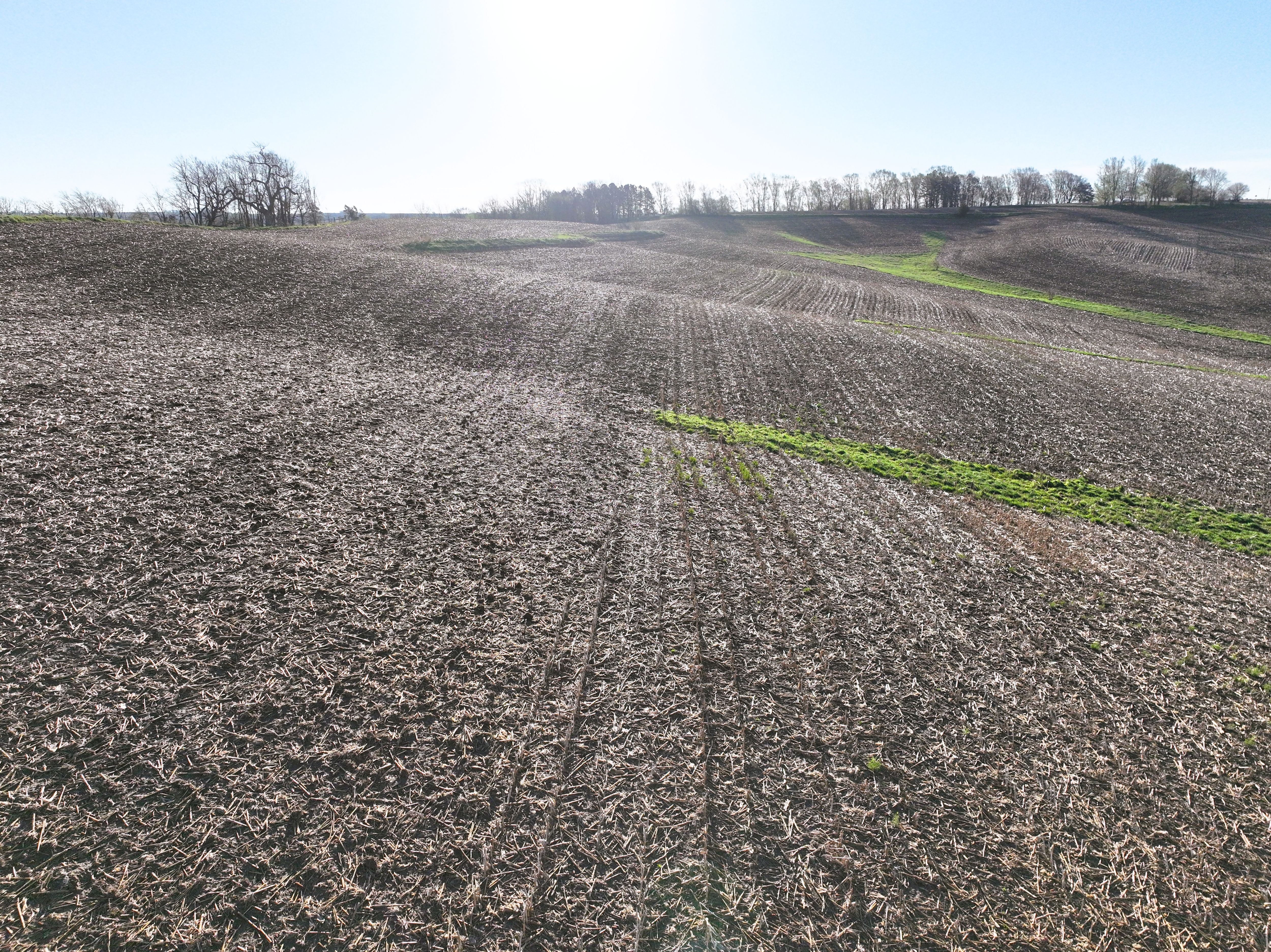 Listing Photo: DJI_0425