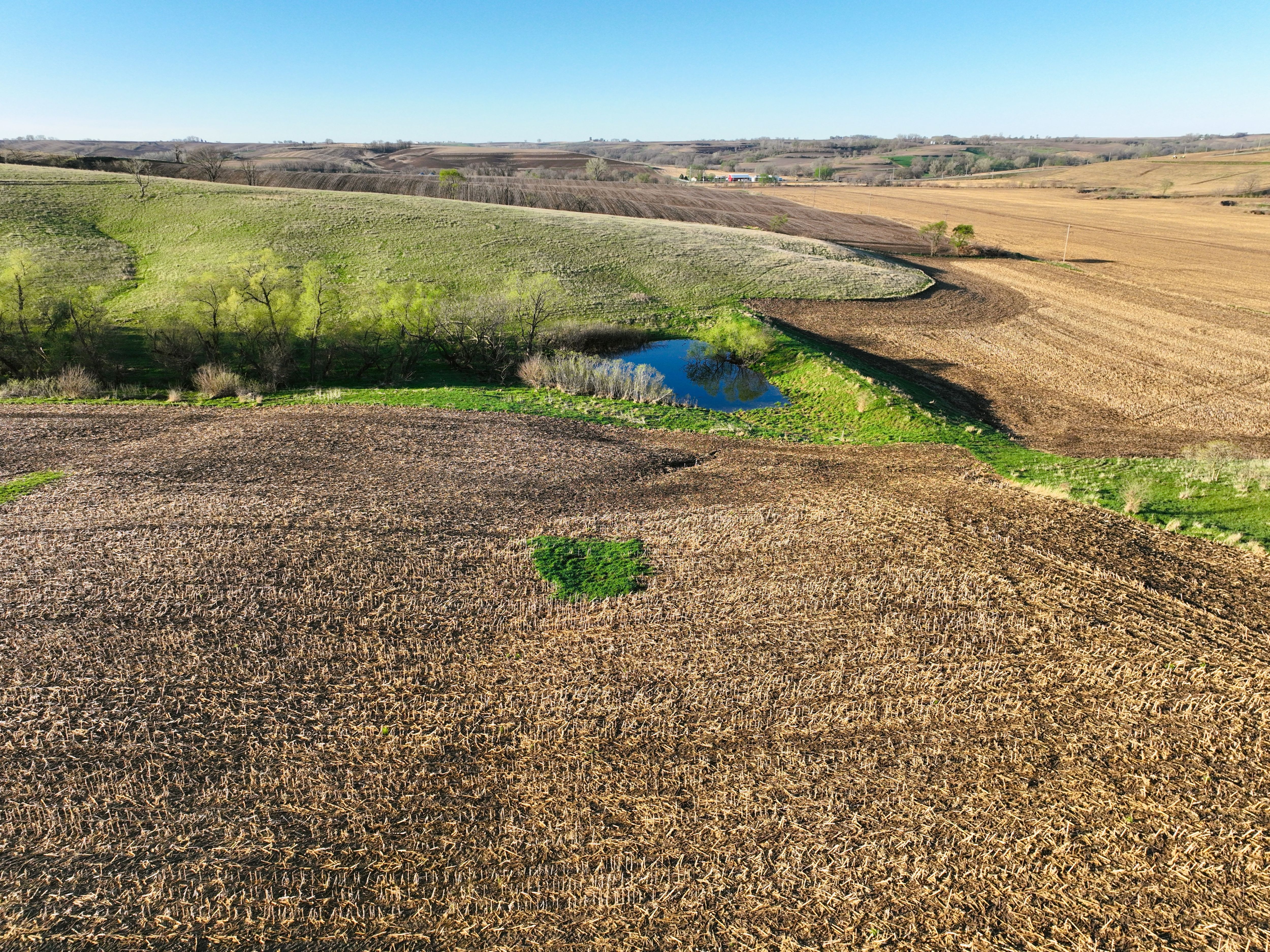 Listing Photo: DJI_0426