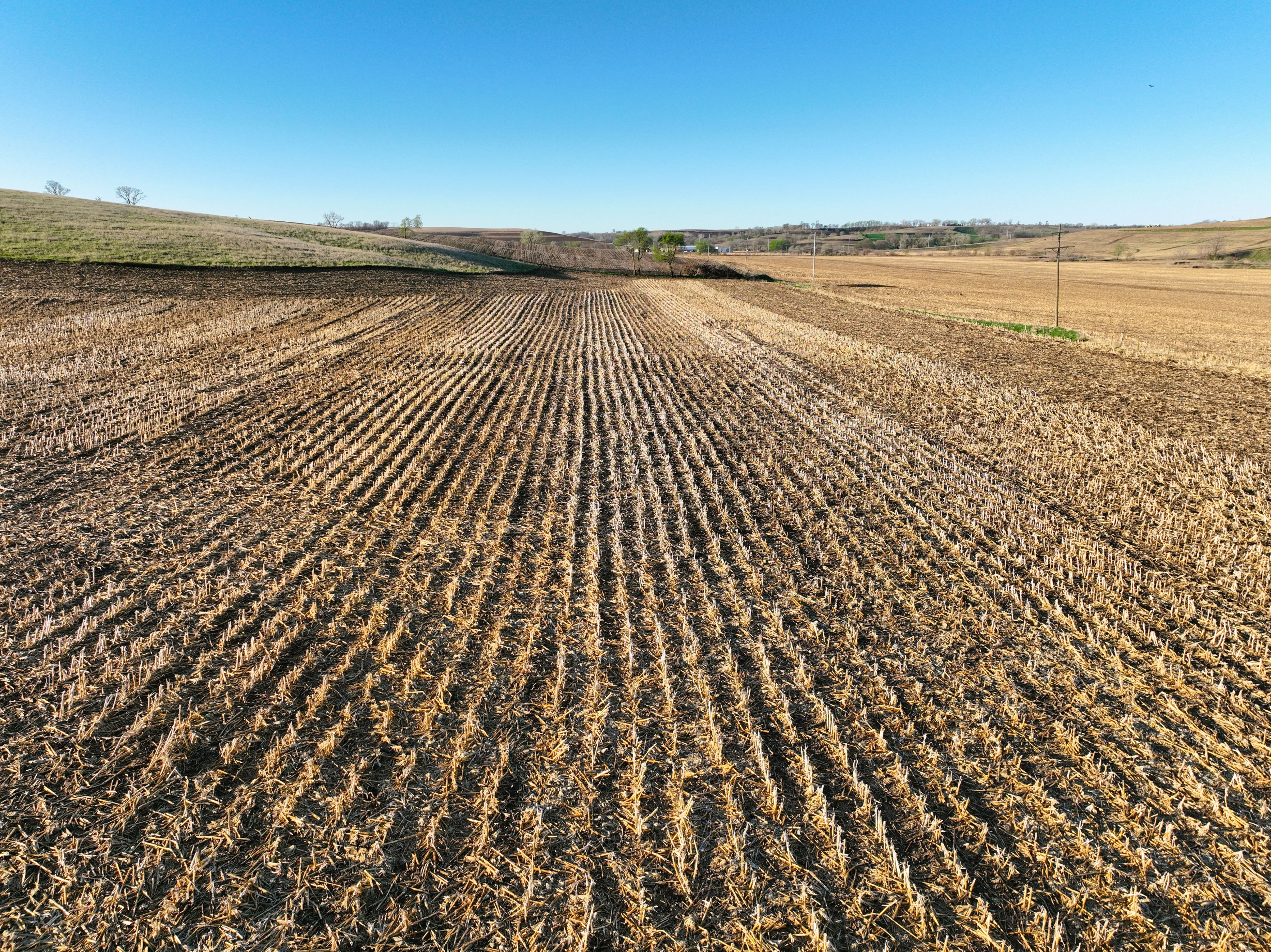 Listing Photo: DJI_0430