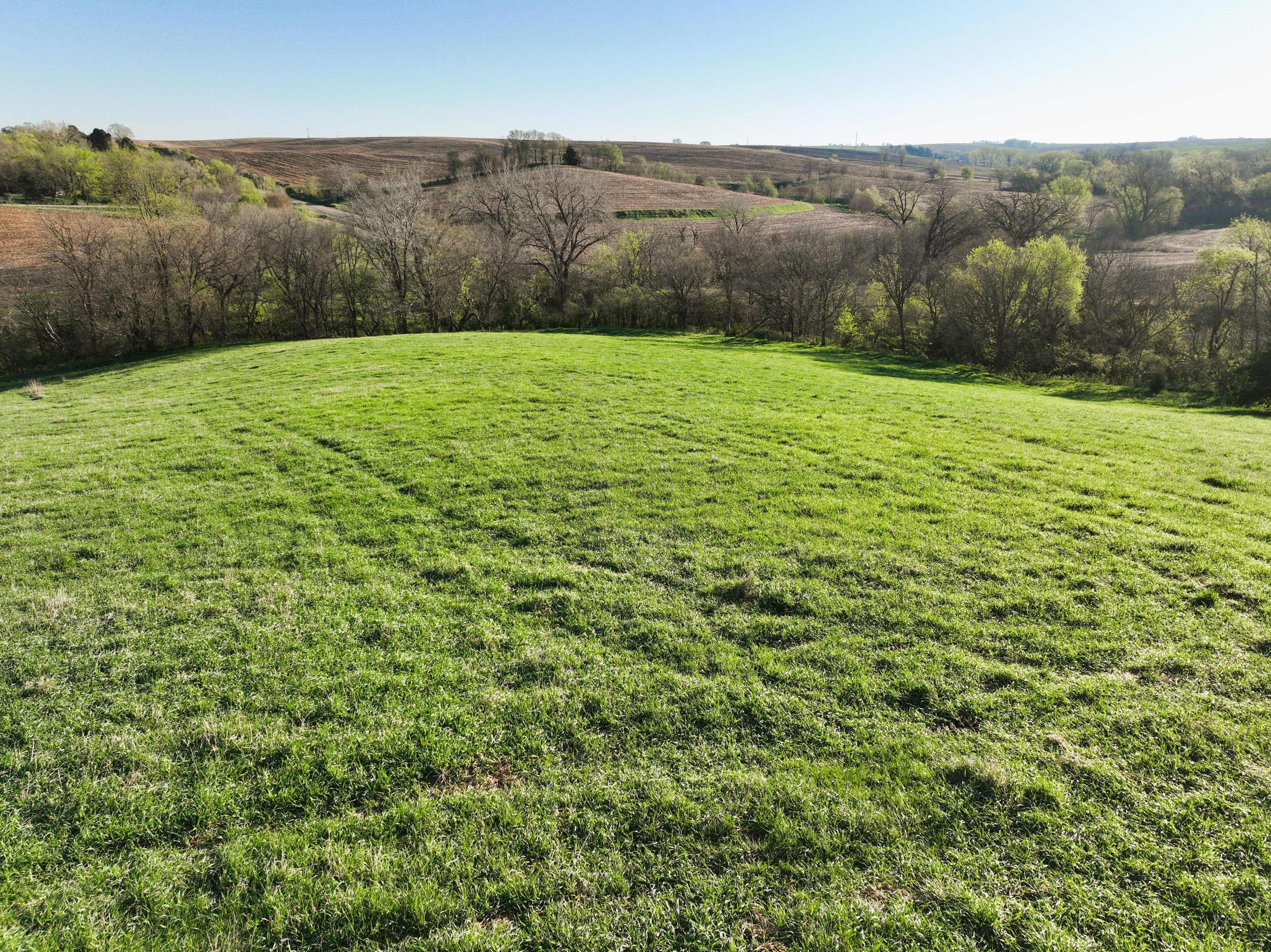 Listing Photo: DJI_0483