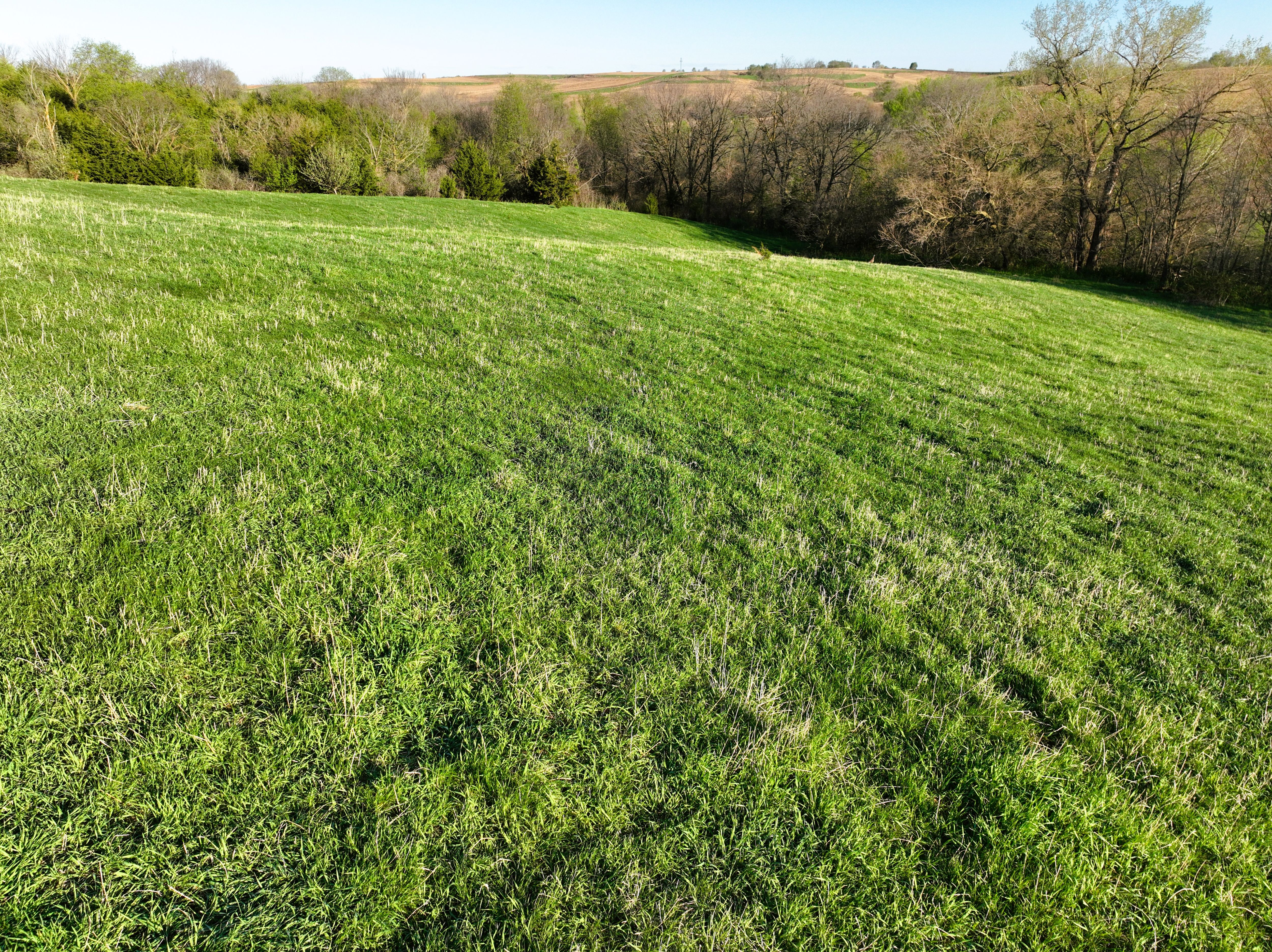 Listing Photo: DJI_0492