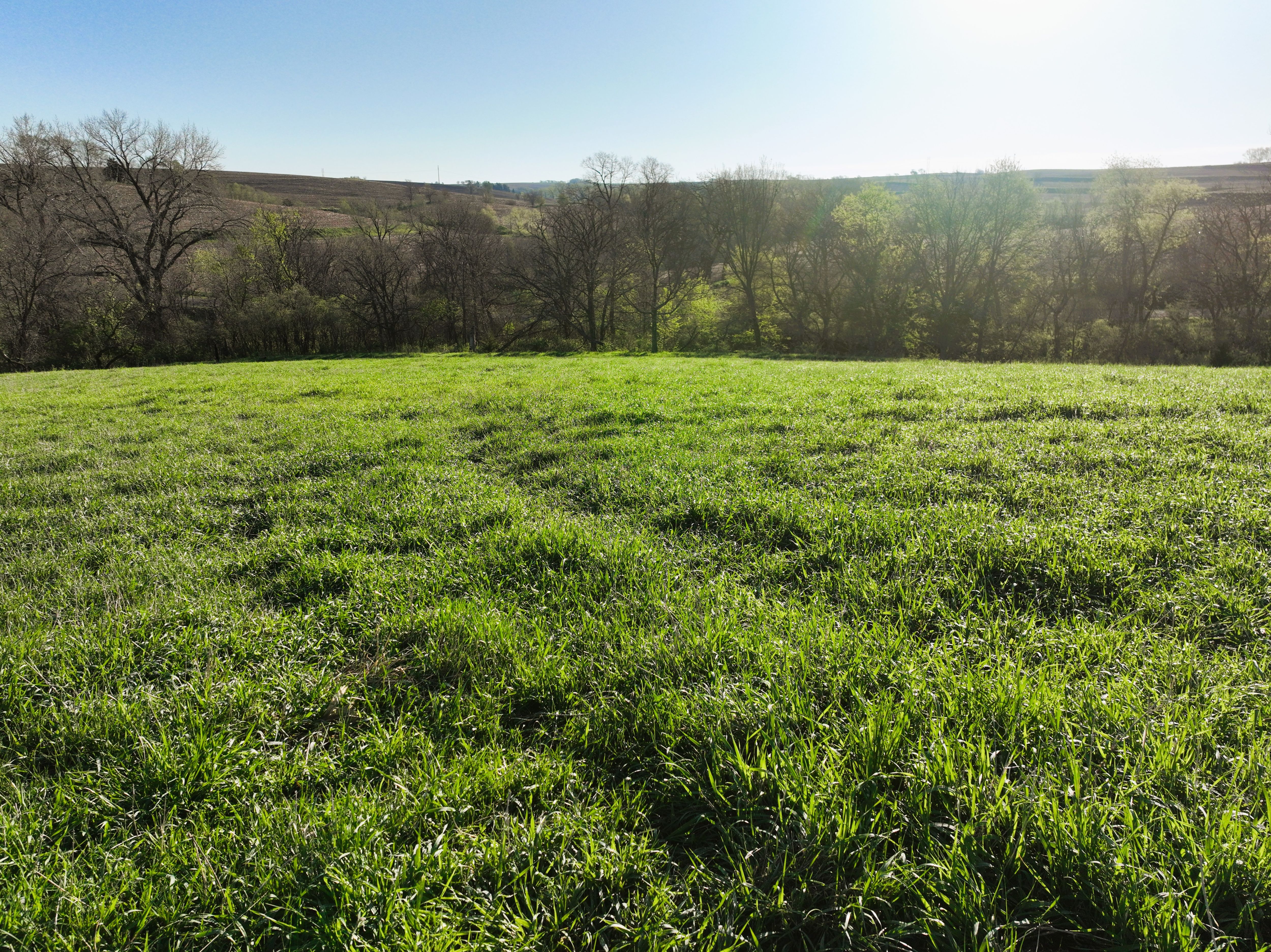 Listing Photo: DJI_0494