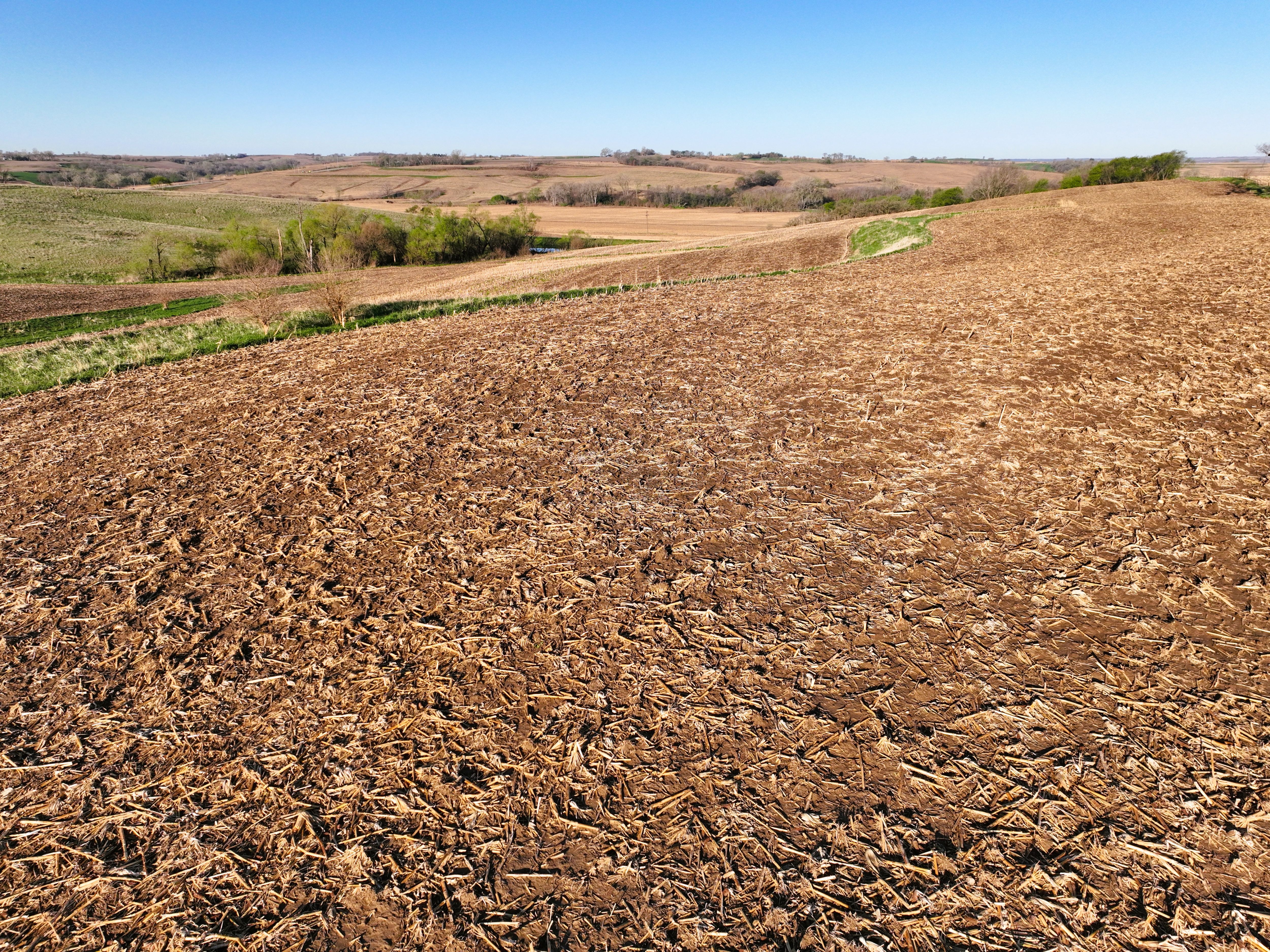 Listing Photo: DJI_0503