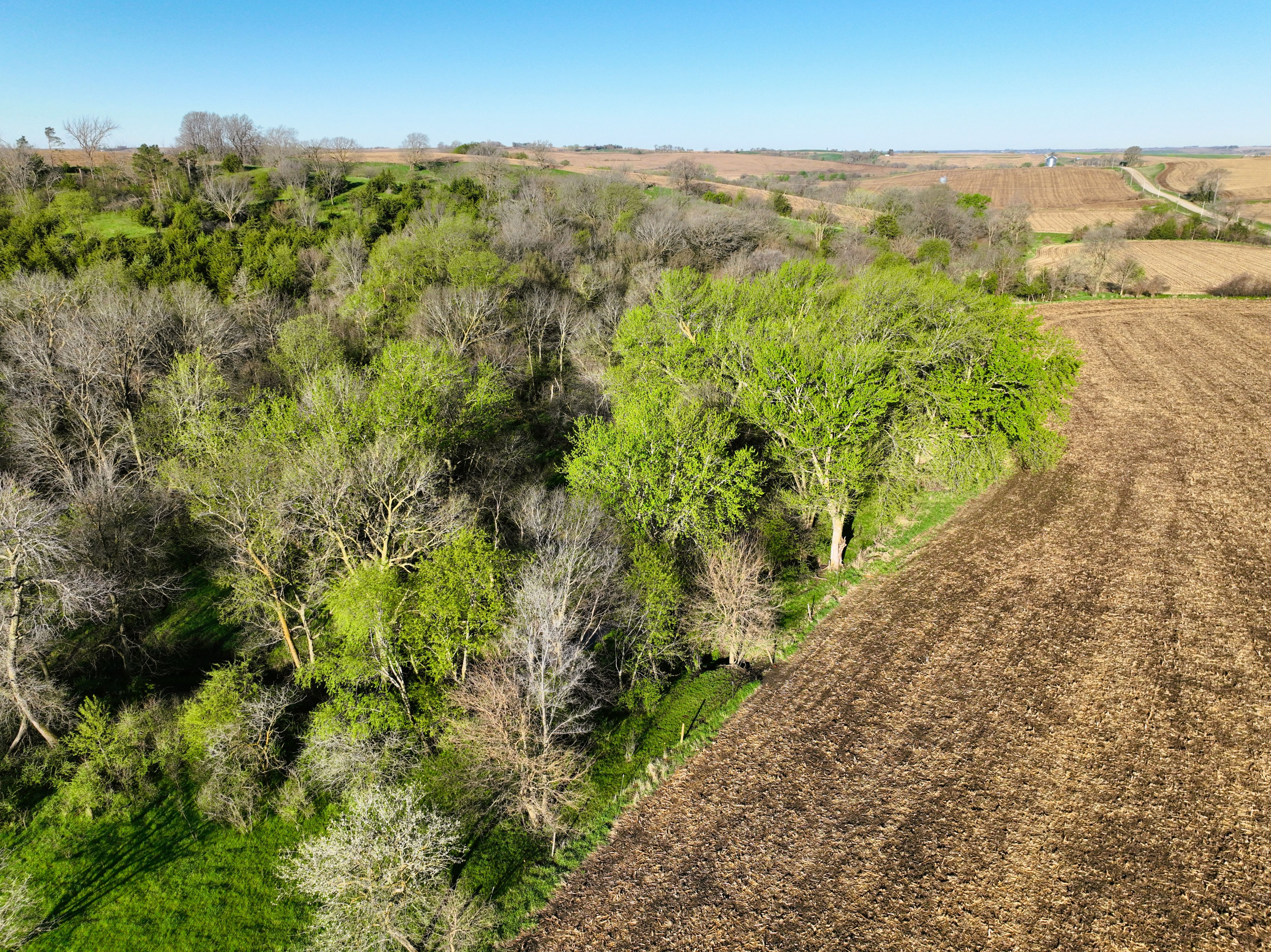 Listing Photo: DJI_0524