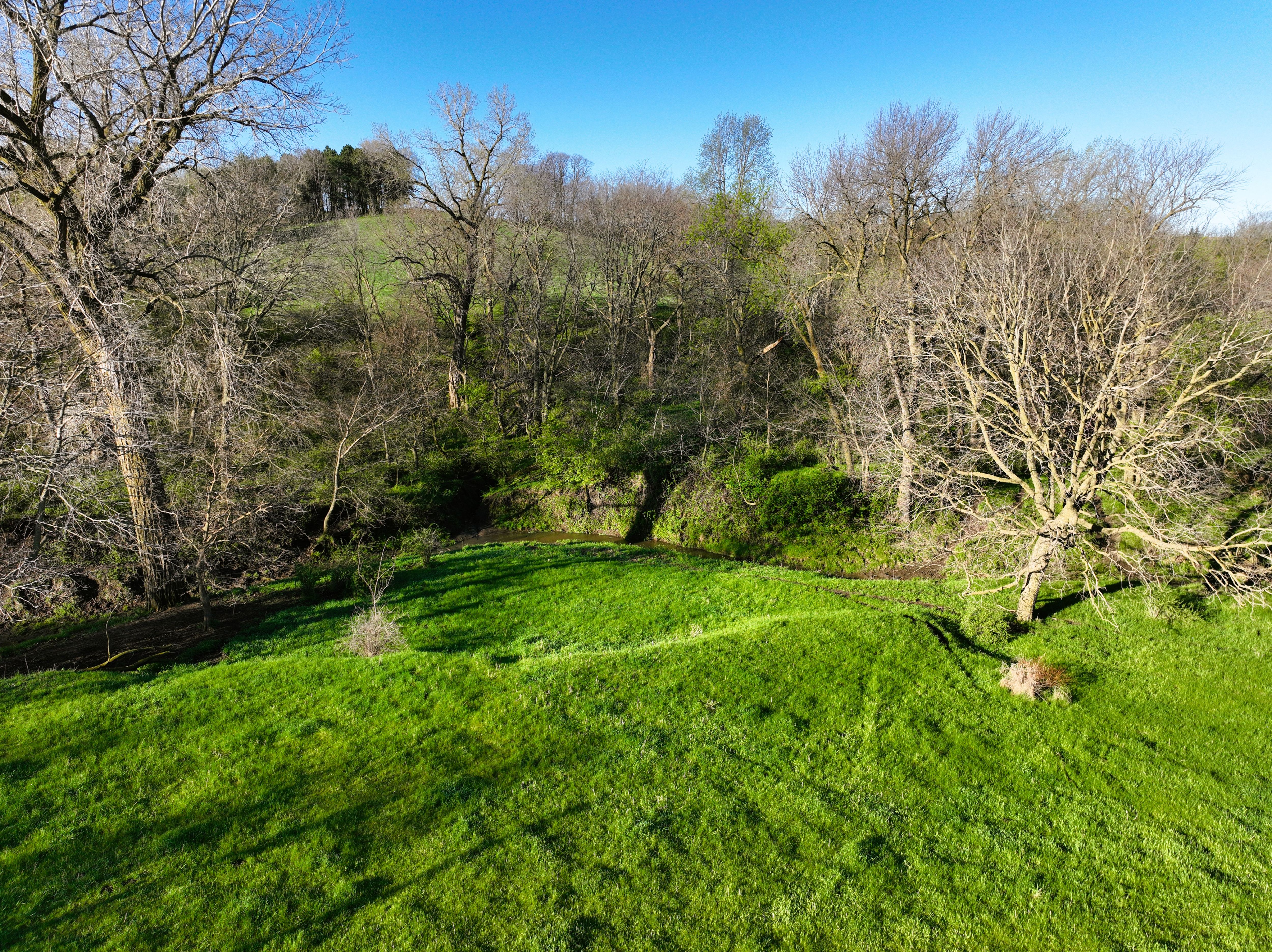 Listing Photo: DJI_0528