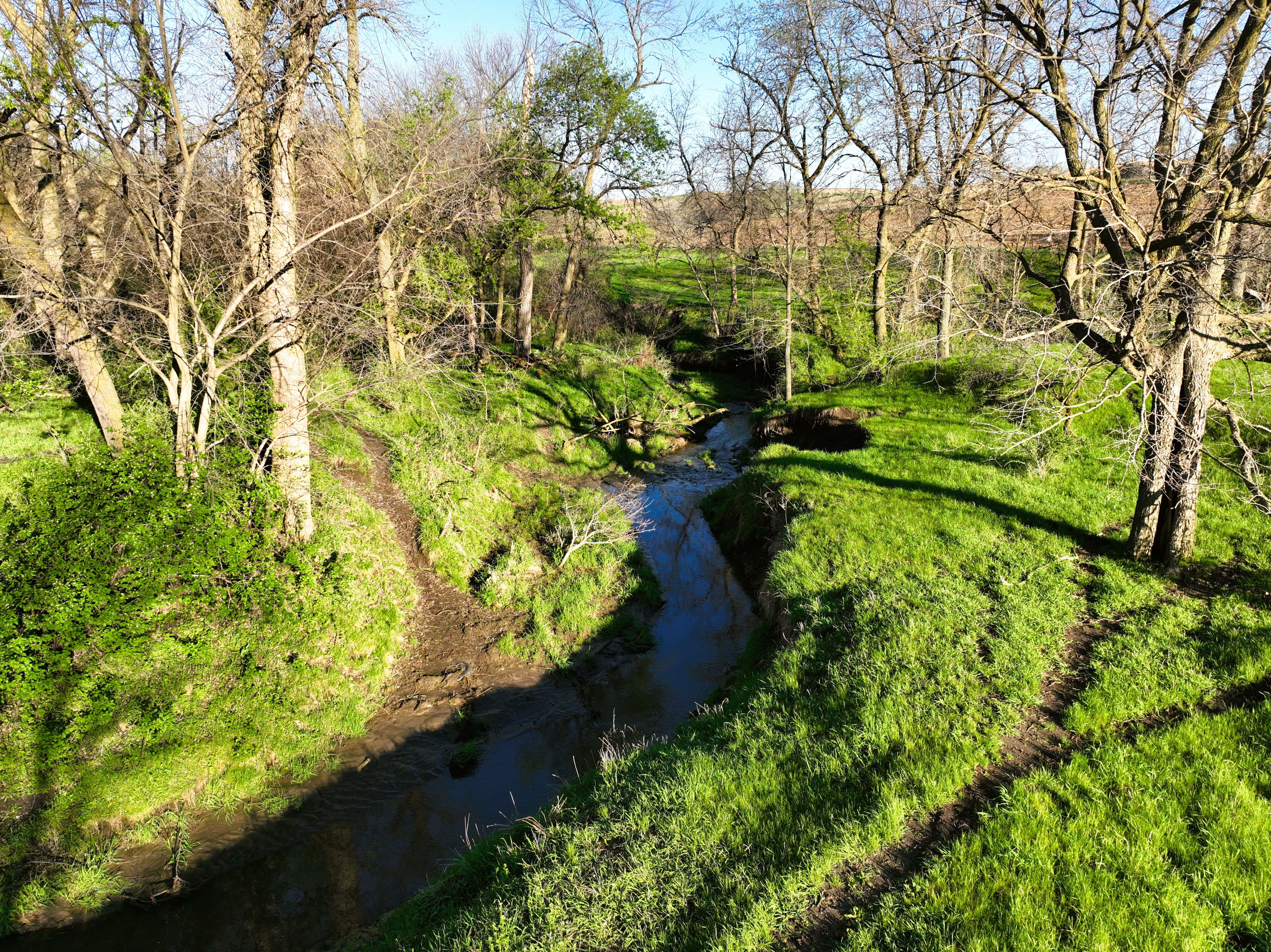 Listing Photo: DJI_0536