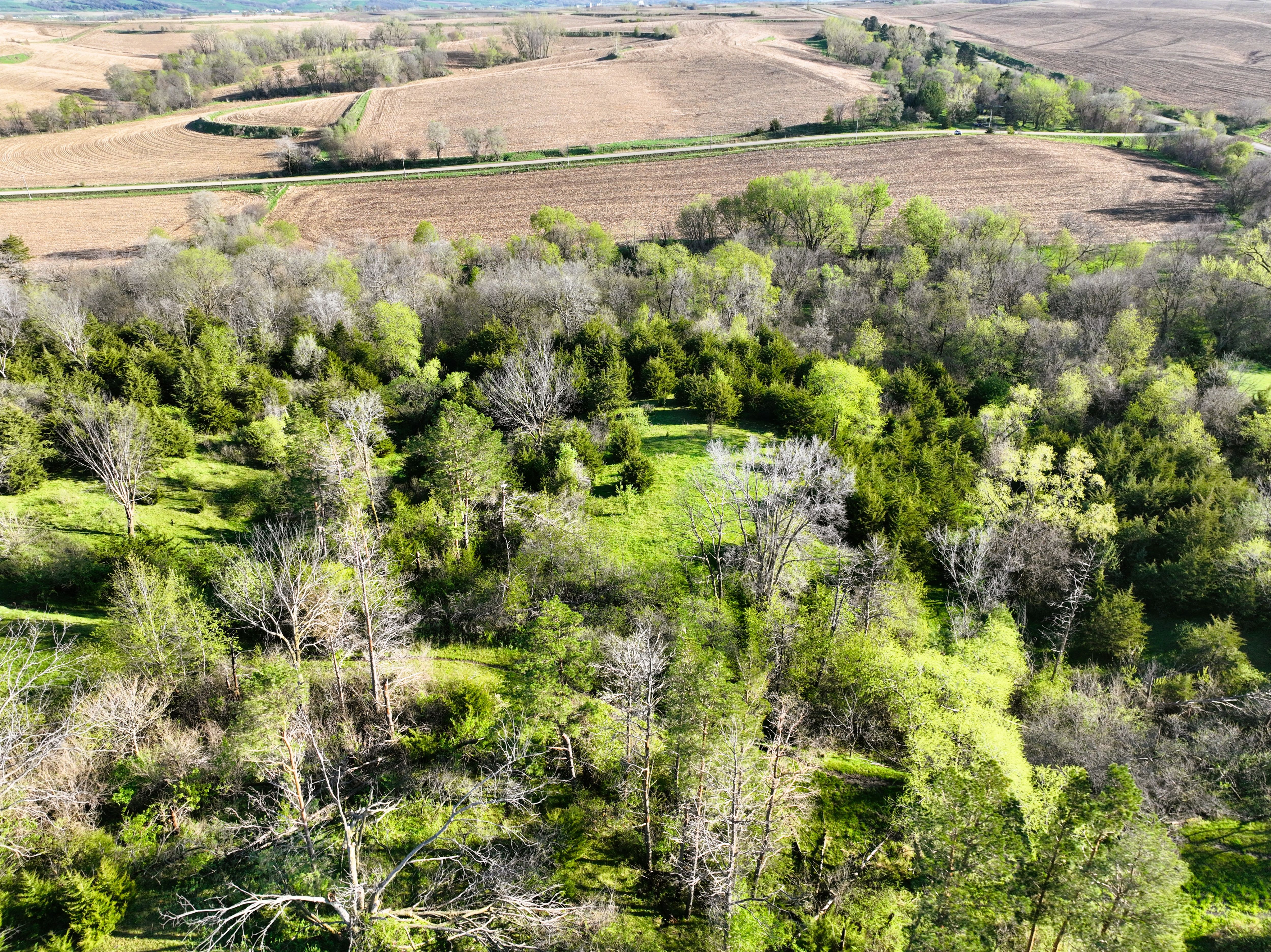 Listing Photo: DJI_0607