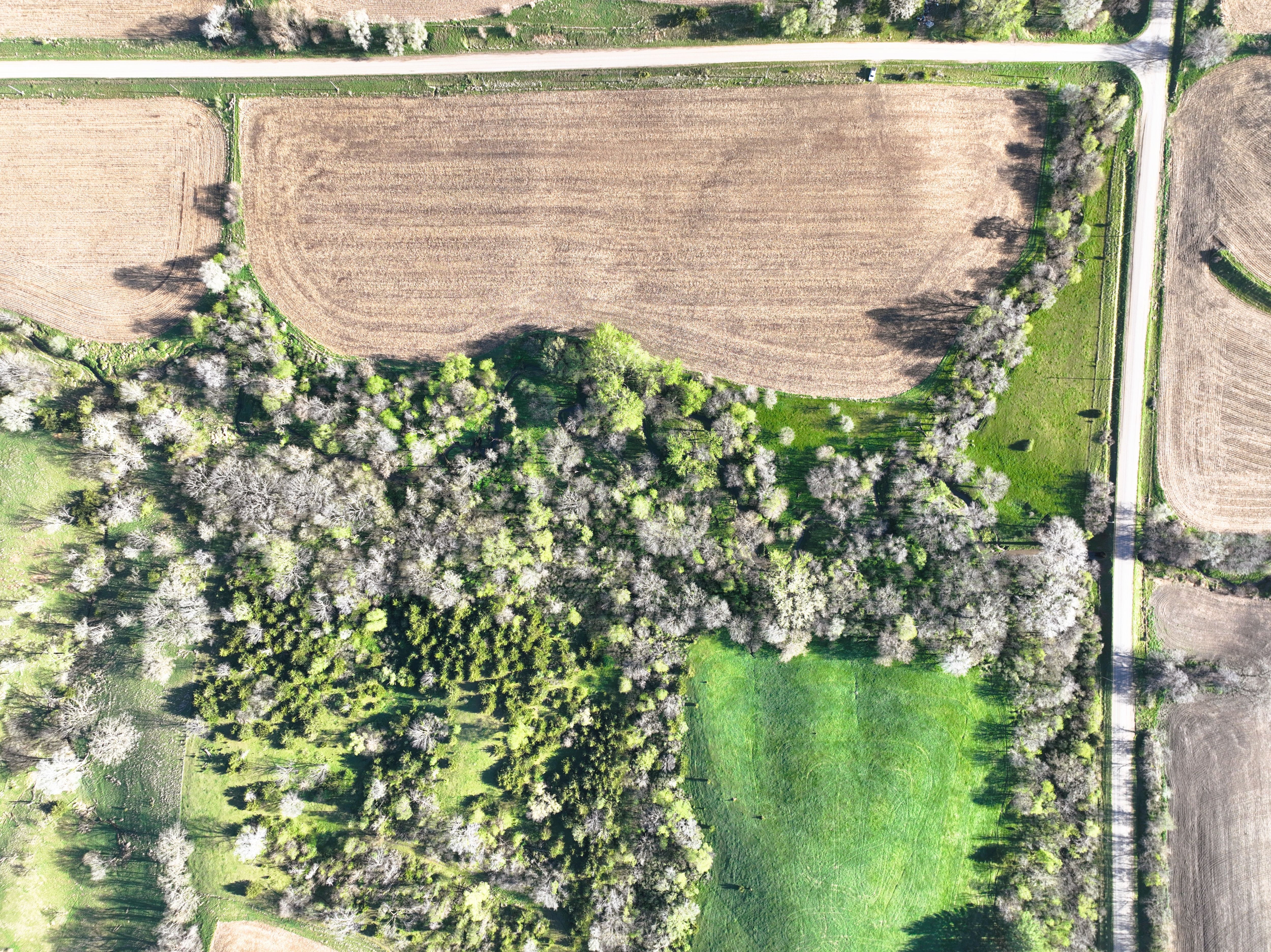 Listing Photo: DJI_0619