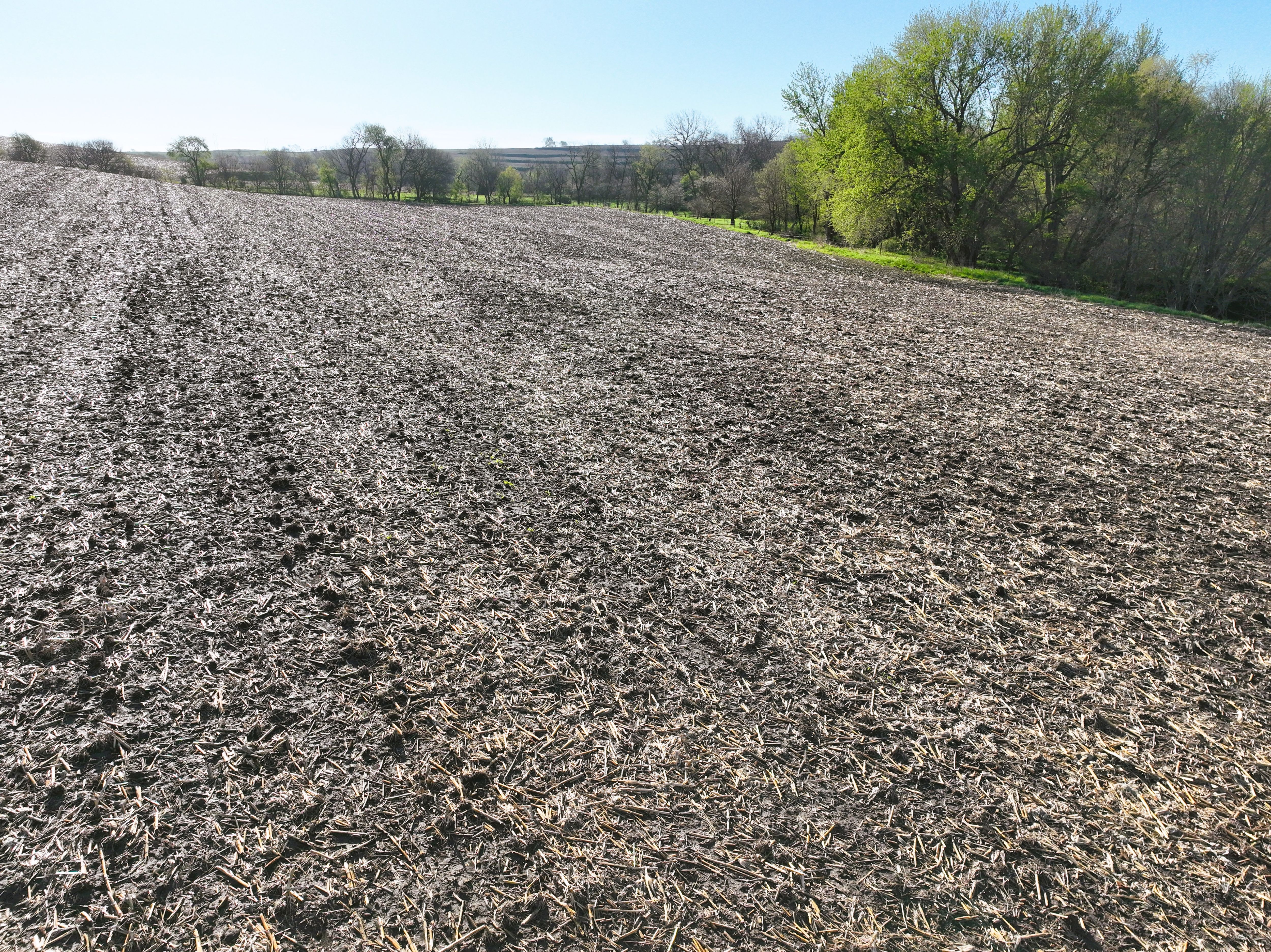 Listing Photo: DJI_0625