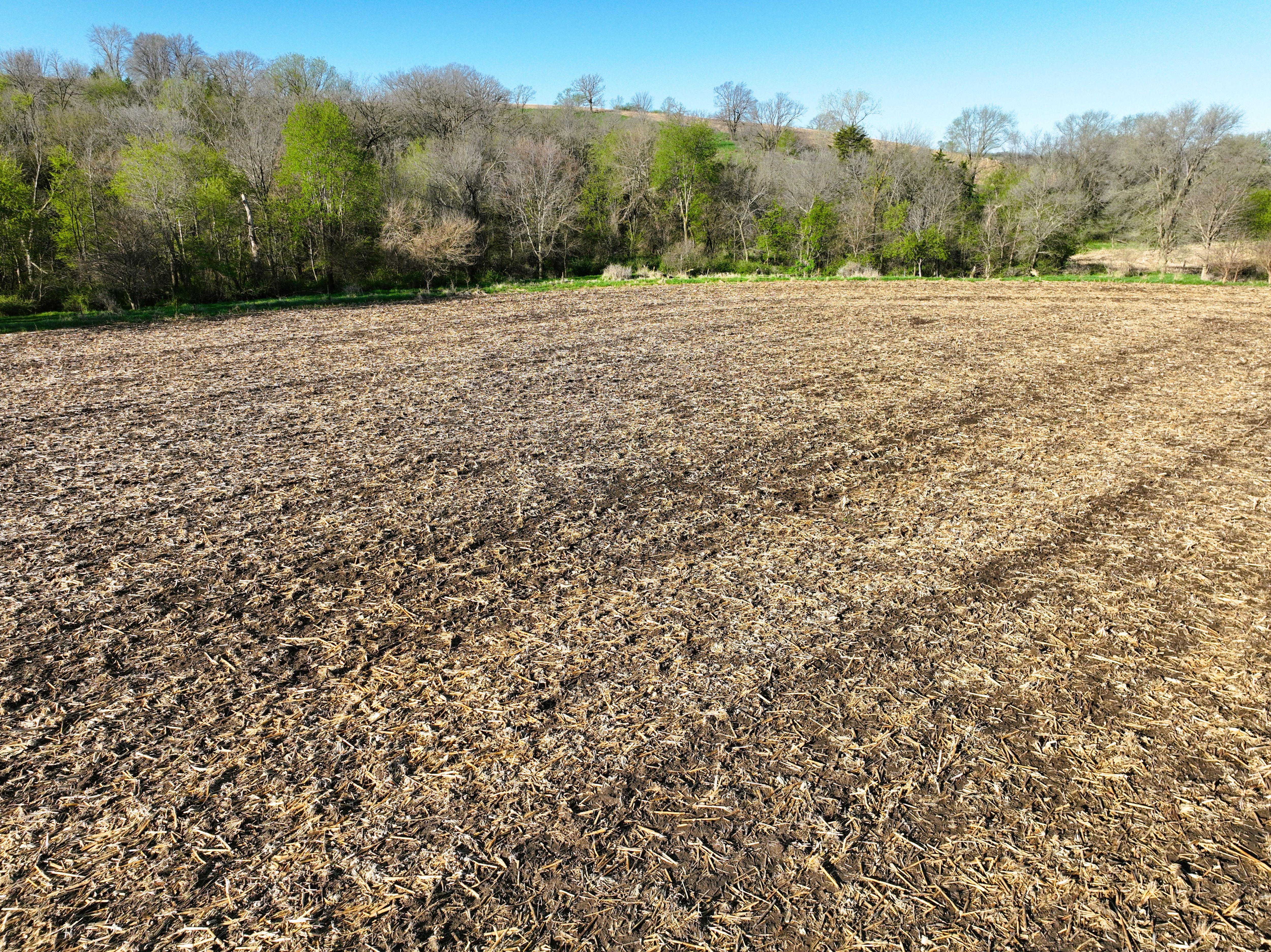 Listing Photo: DJI_0629