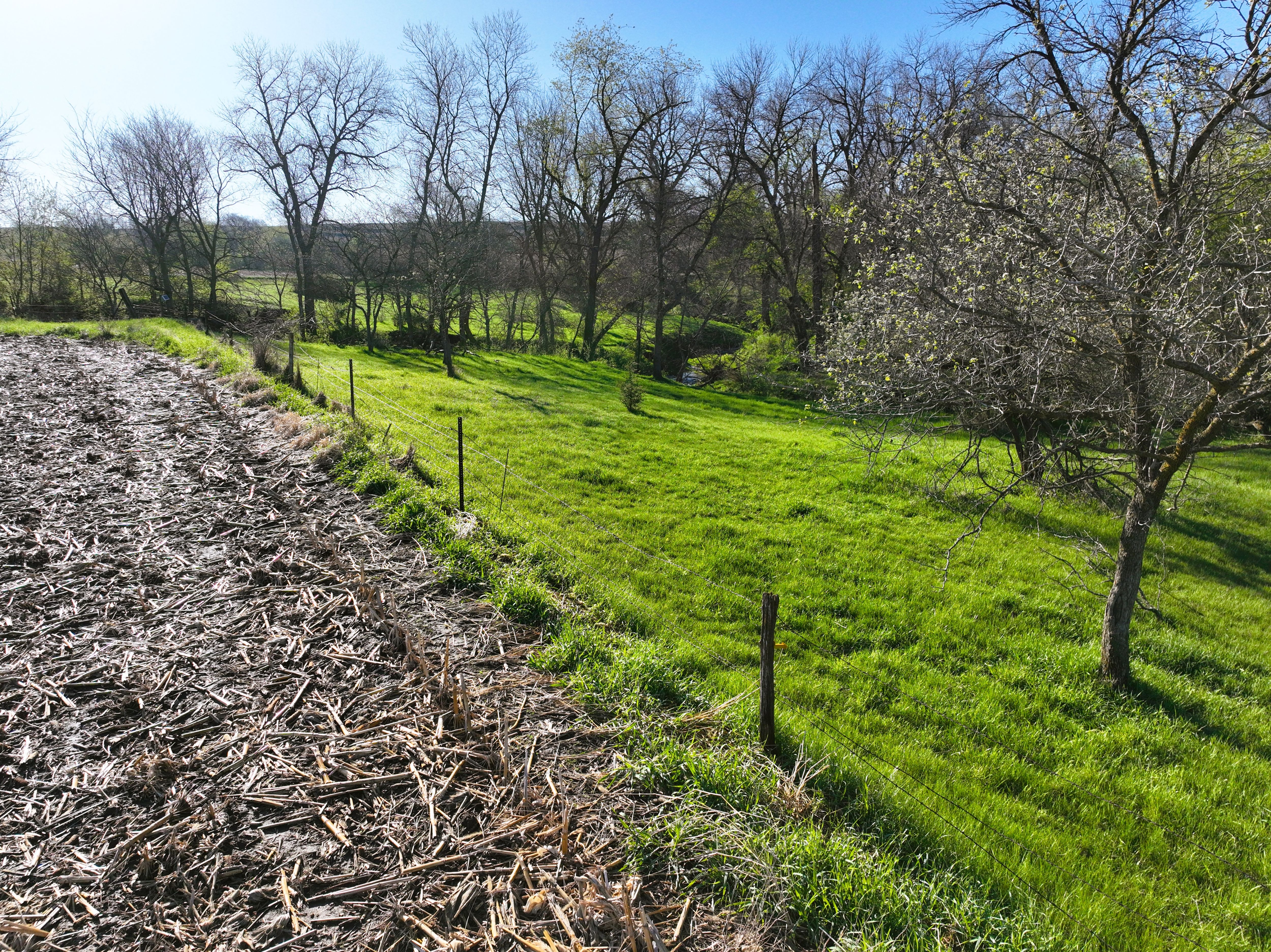 Listing Photo: DJI_0638