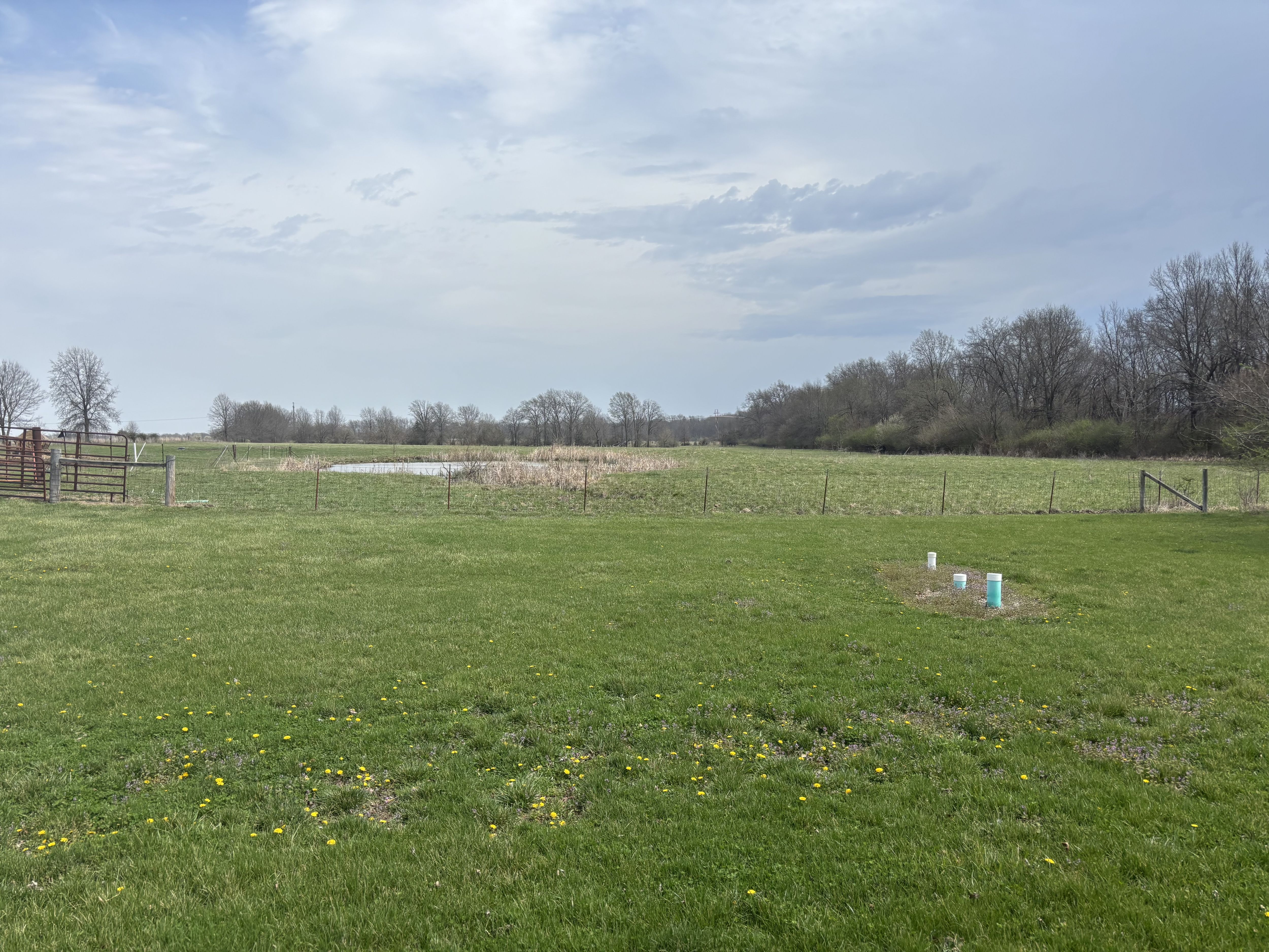 Listing Photo: IMG_4061