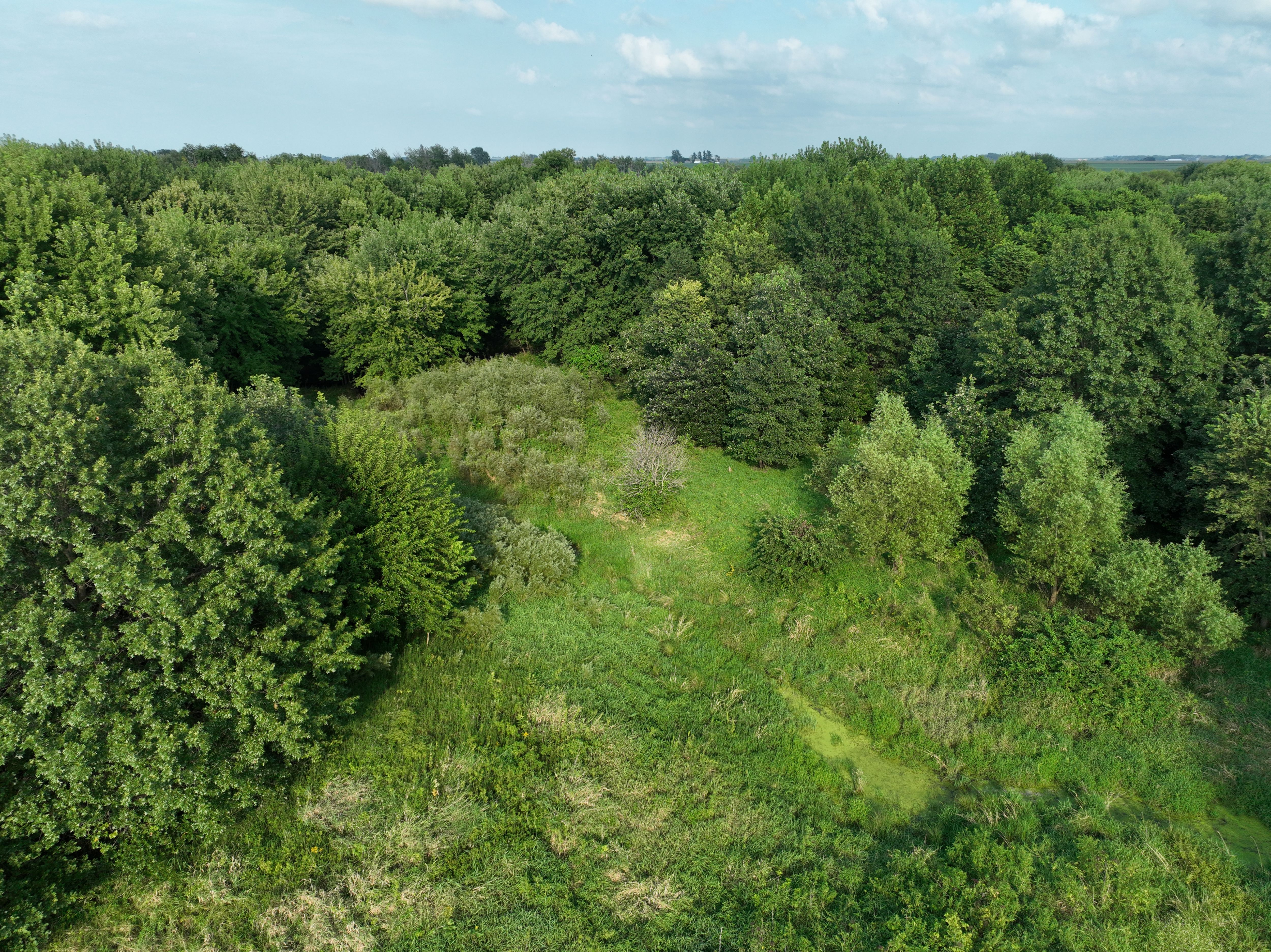 Listing Photo: DJI_0986