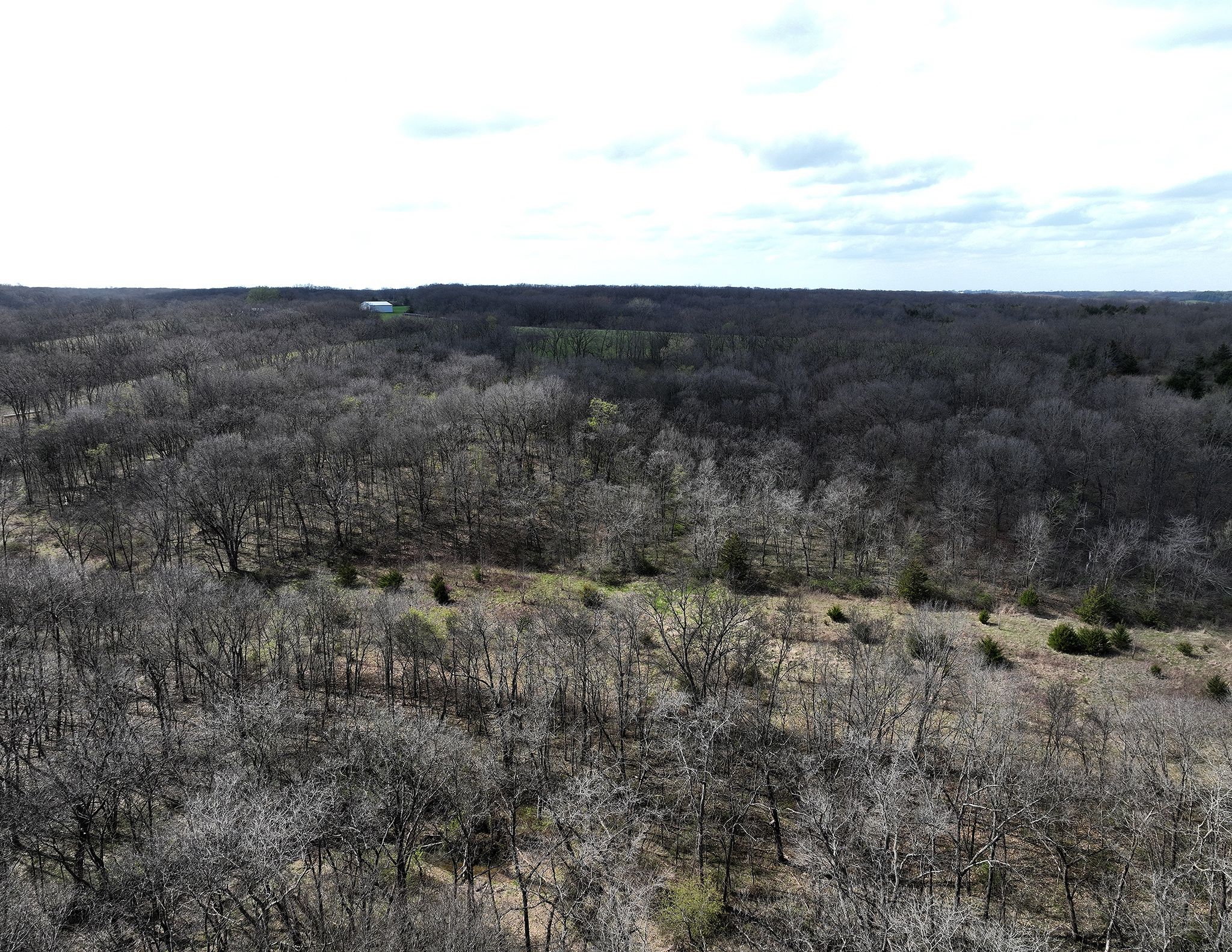 Listing Photo: DJI_0187