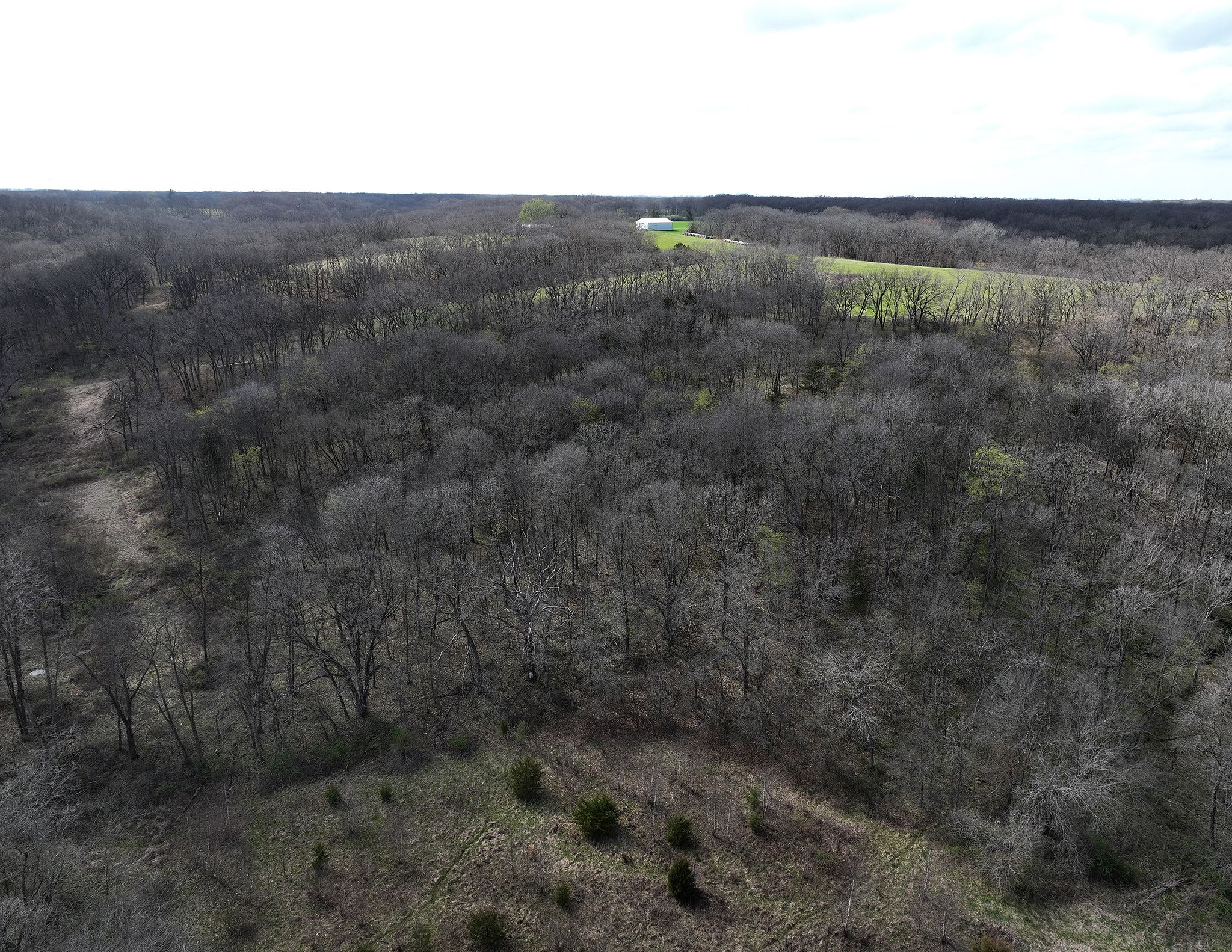 Listing Photo: DJI_0188