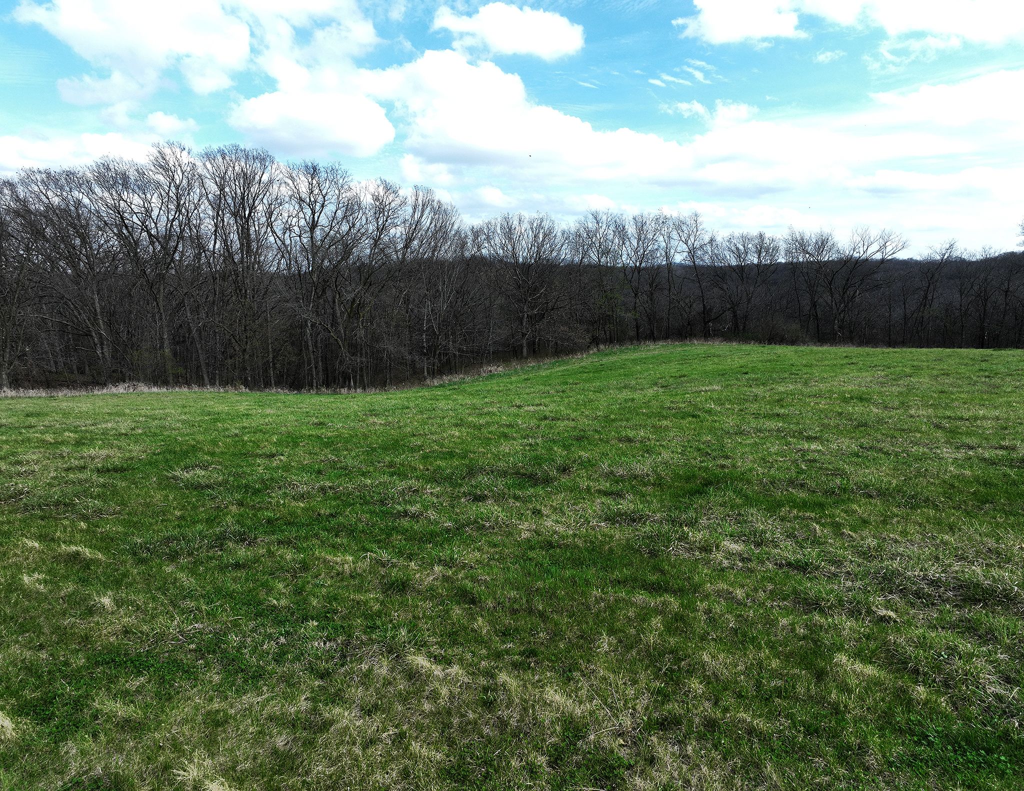 Listing Photo: DJI_0195