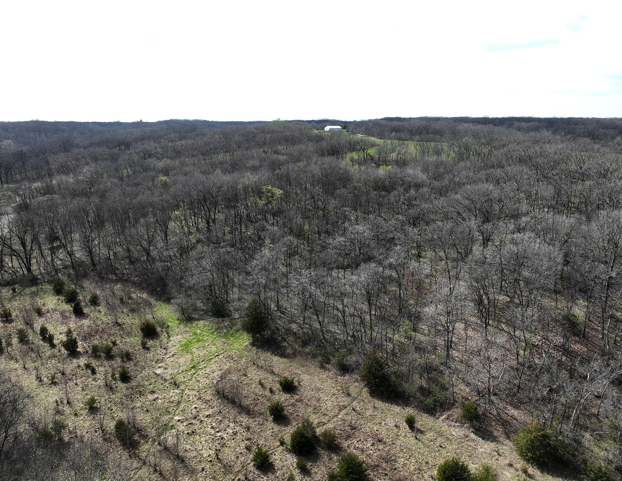 Listing Photo: DJI_0208